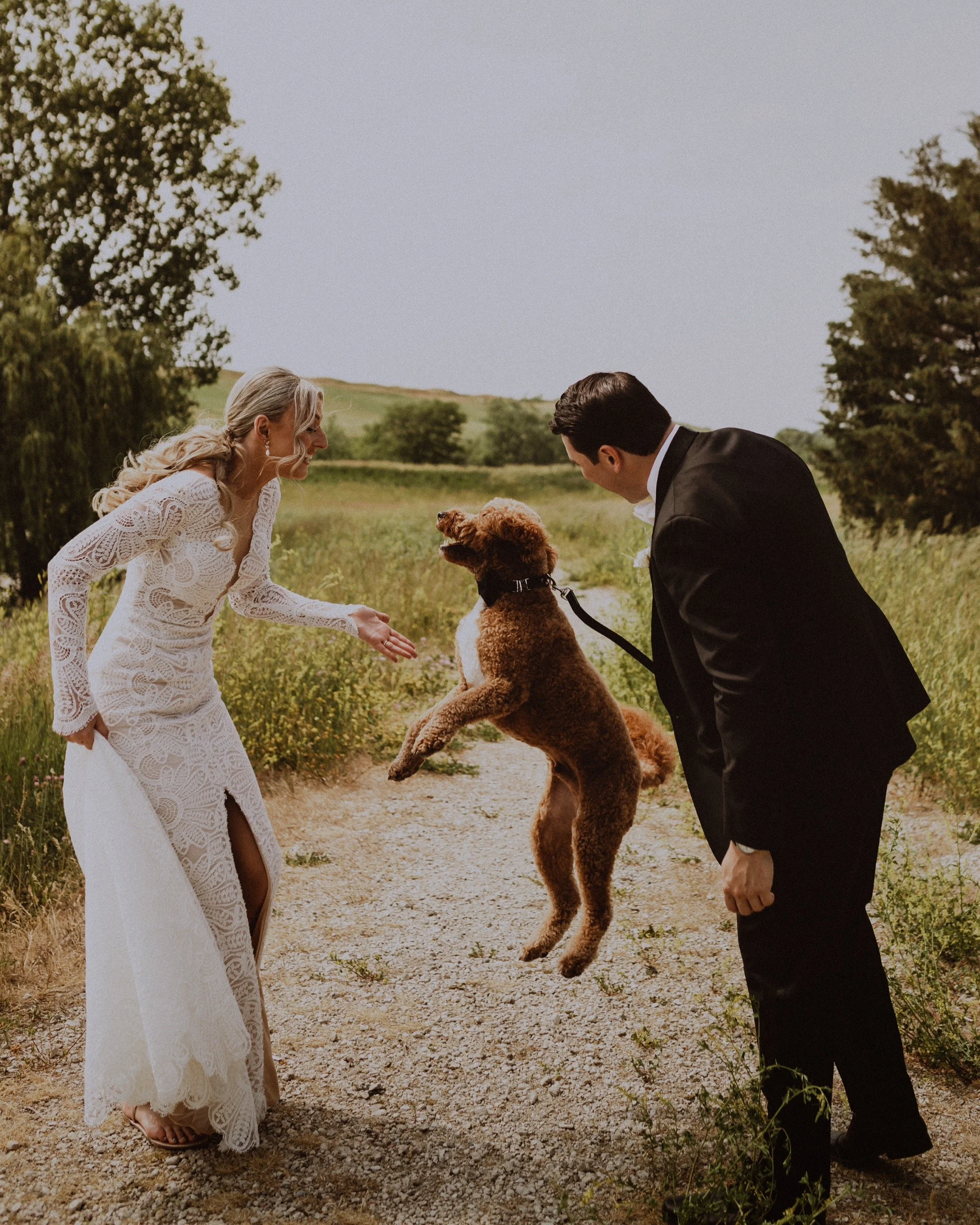 A bride and groom playing with a dog on a dirt path in an outdoor grassy area, with trees and rolling hills in the background.