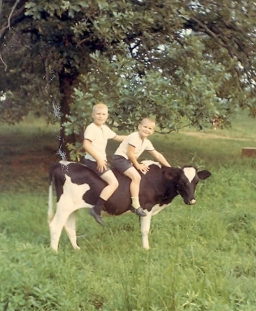 Two young boys riding a black and white cow in a grassy field under a large leafy tree.