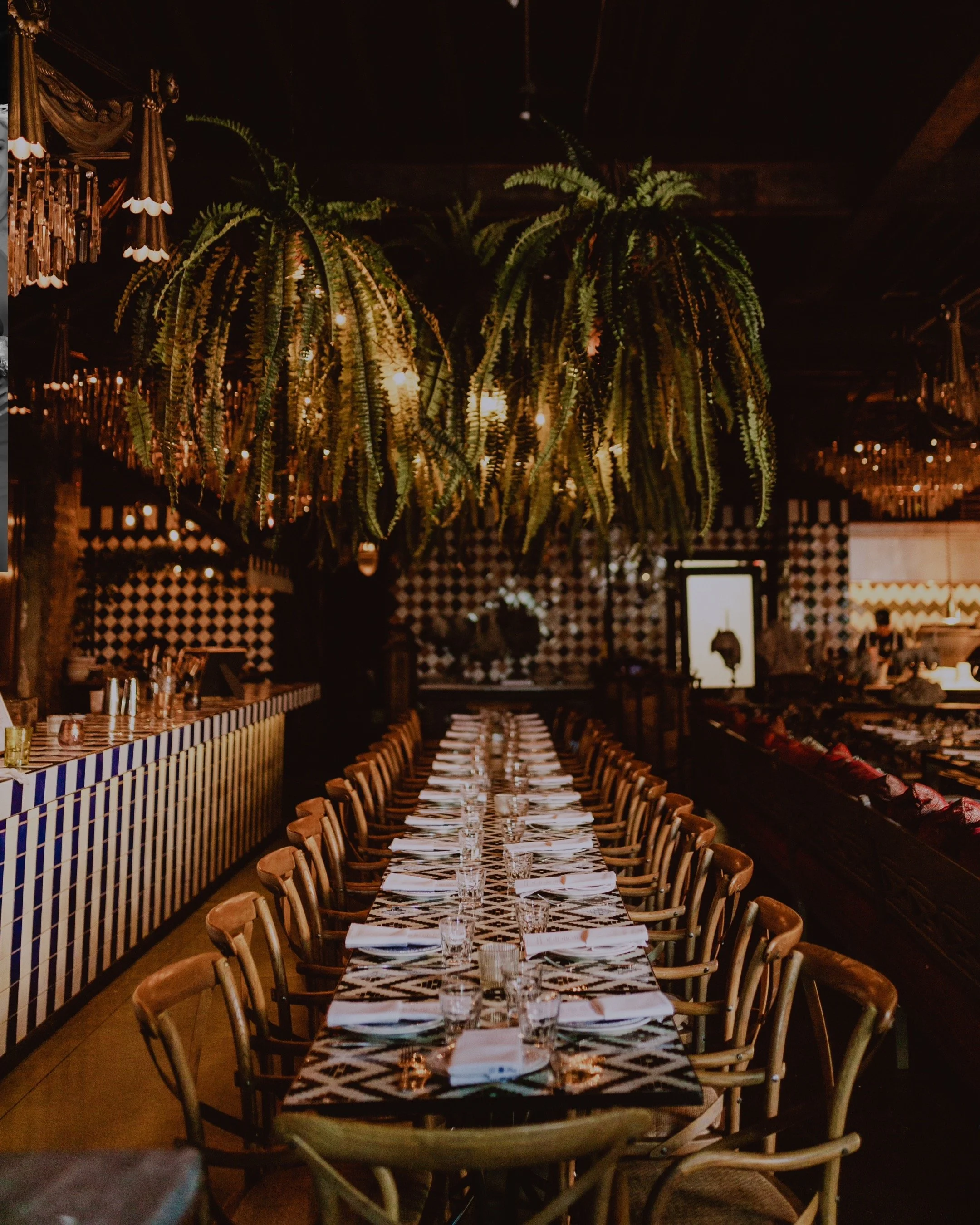 Elegant restaurant interior with a long dining table set with white napkins, glasses, and cutlery, decorated with large hanging fern plants and warm lighting. Beatniks Chicago Wedding