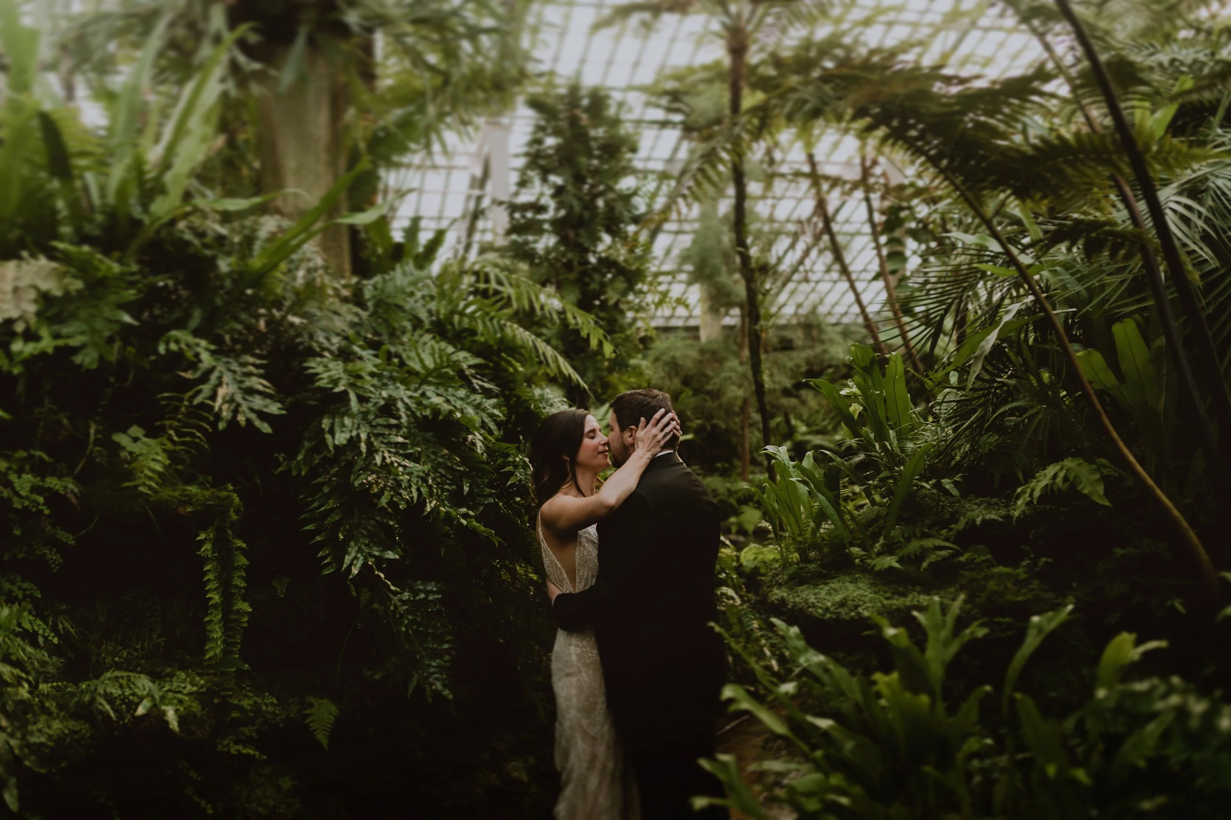 A bride and groom embrace in a lush greenhouse with dense green foliage.