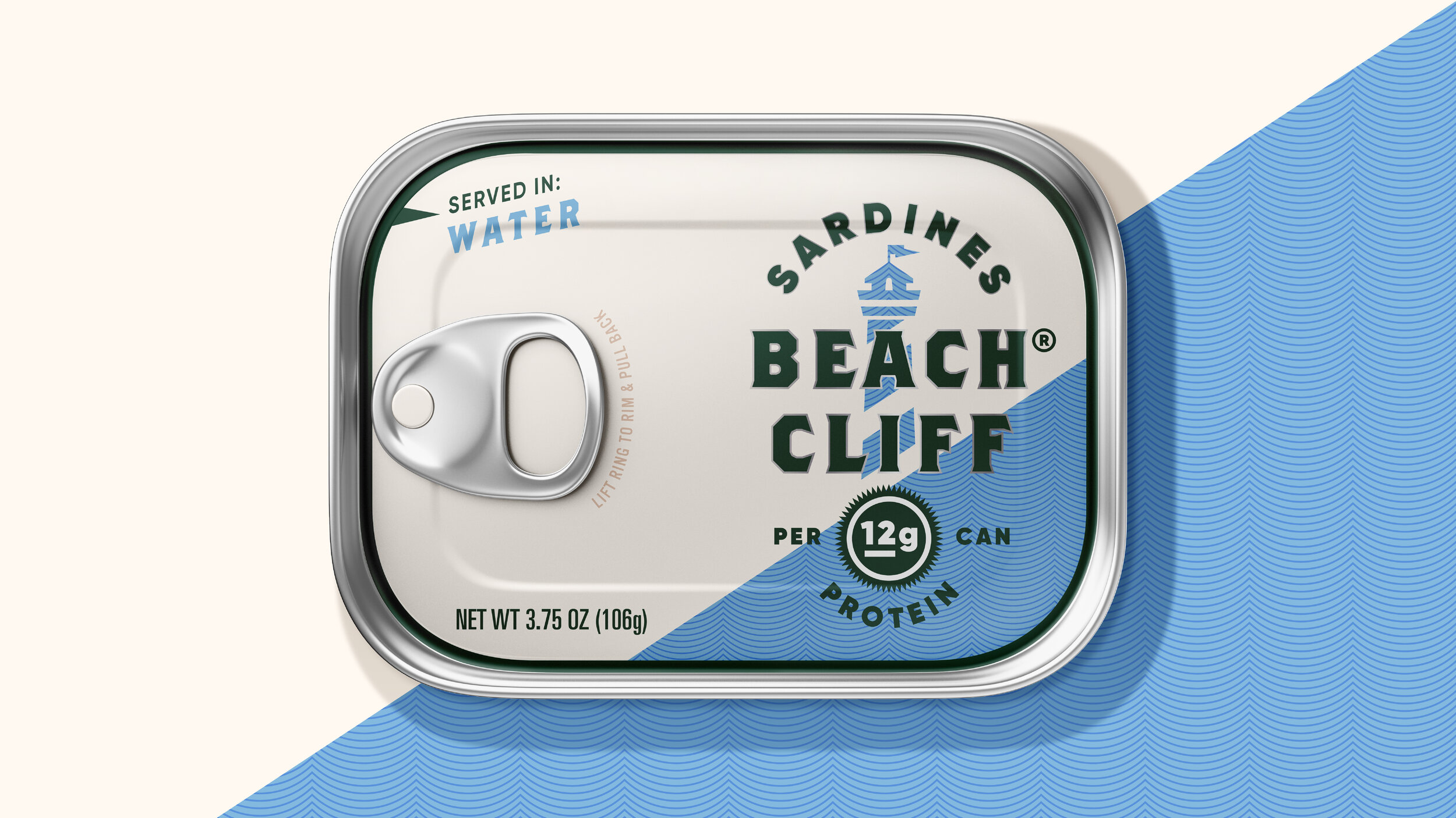 AaronBueg-Website-BeachCliff-2103049.jpg