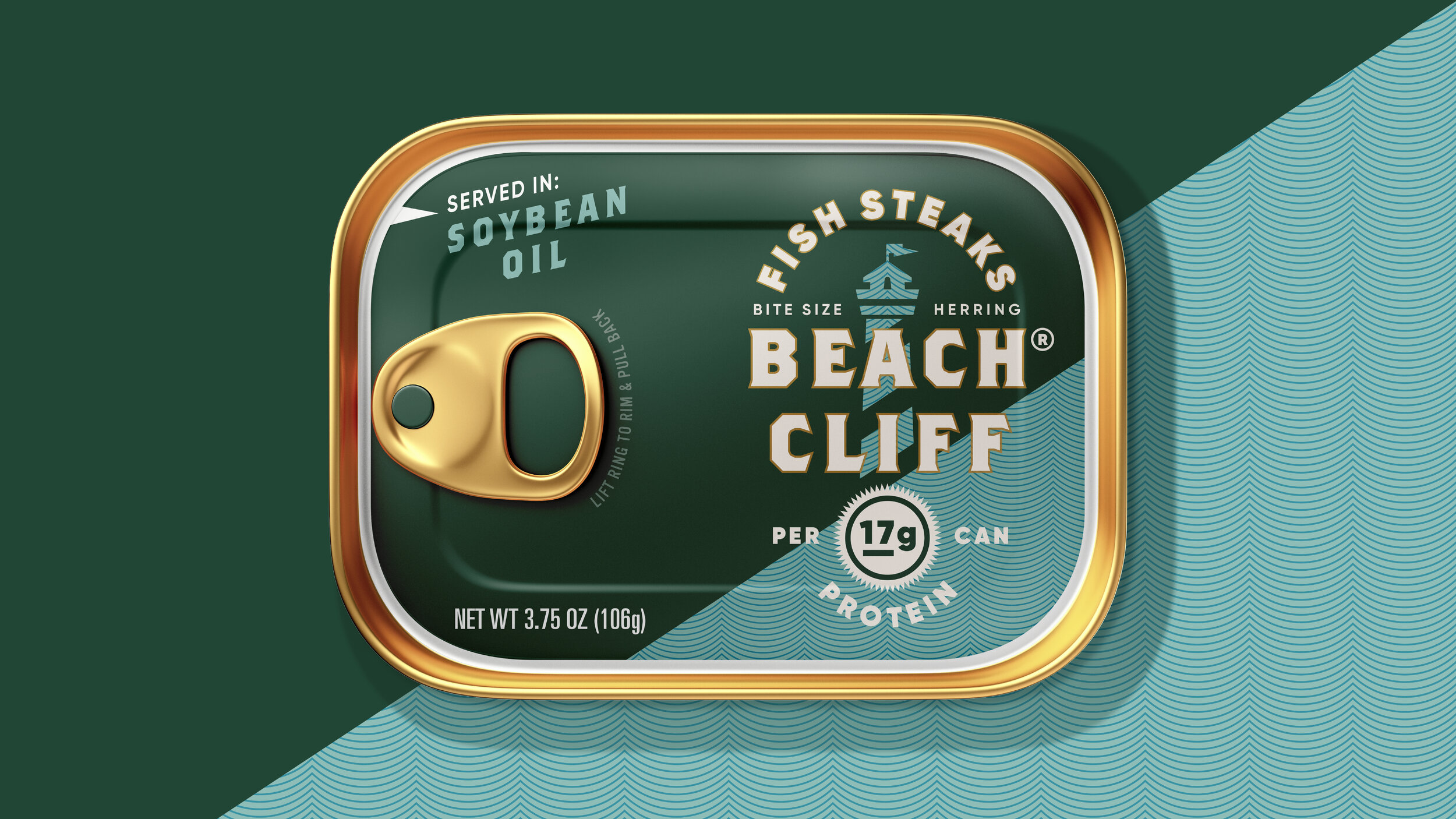 AaronBueg-Website-BeachCliff-210304-17.jpg