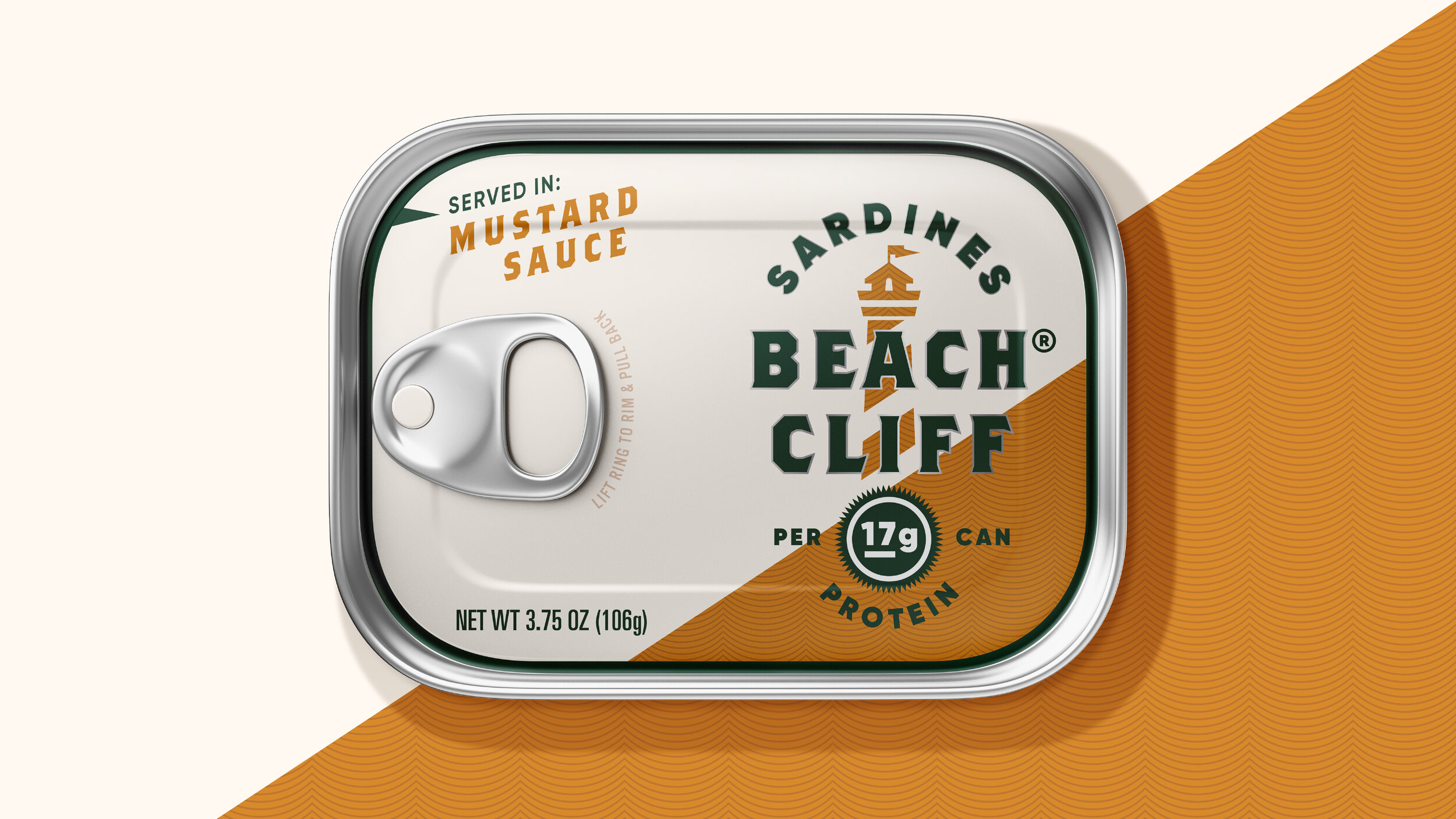 AaronBueg-Website-BeachCliff-2103045.jpg