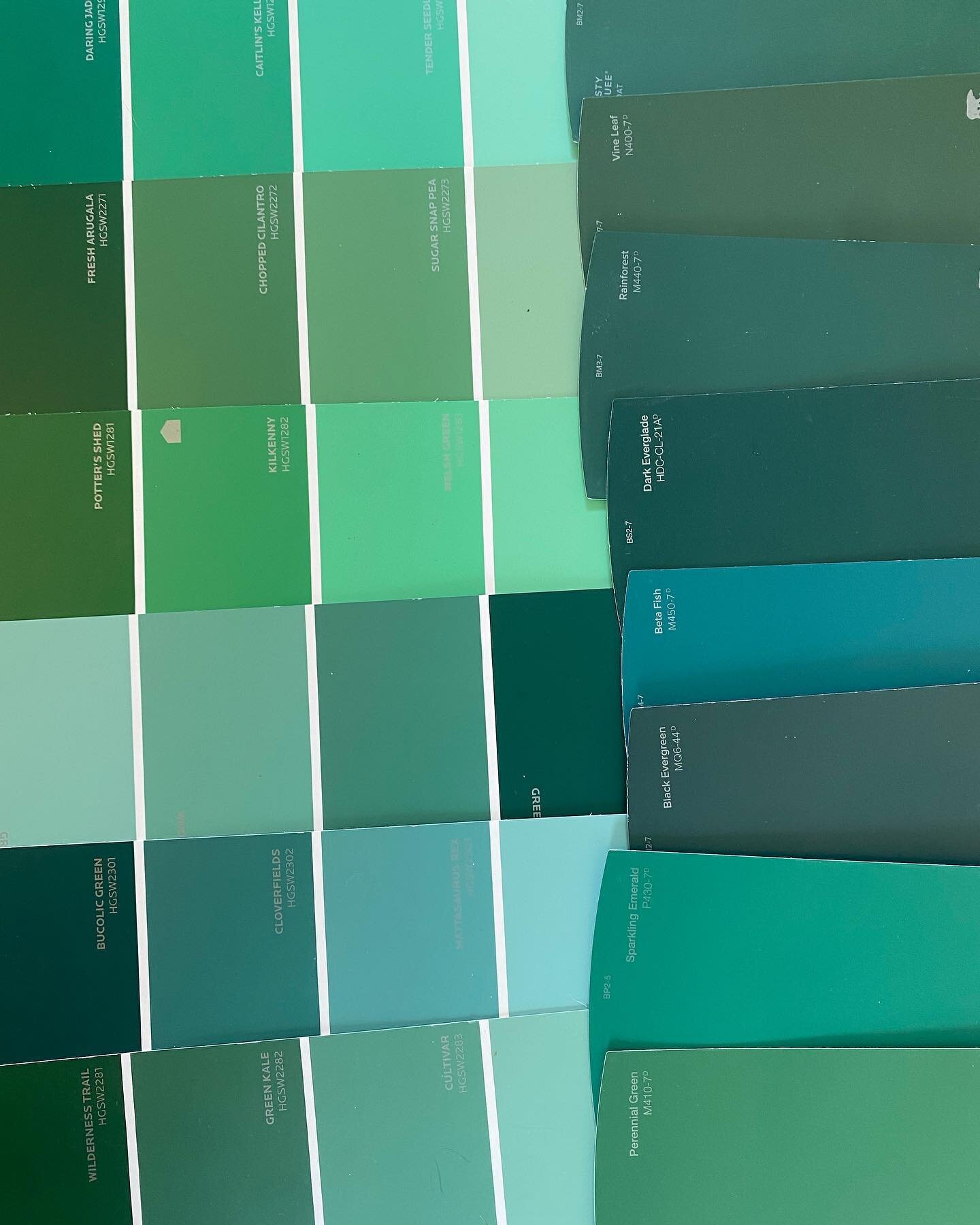 Which color should you pick? 🎨

Getting settled into our new home, we are faced with SO many decisions on design, including the most basic question of paint color. We know that we wanted to add a splash of color to our normally very neutral grey pal