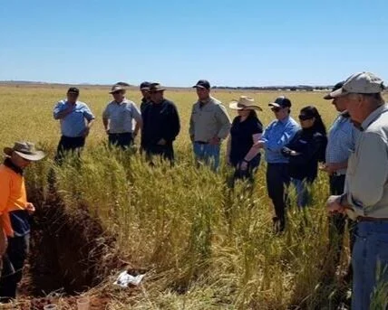 A group of people standing in a field. They are watching biosolids being applied to the farm soil.