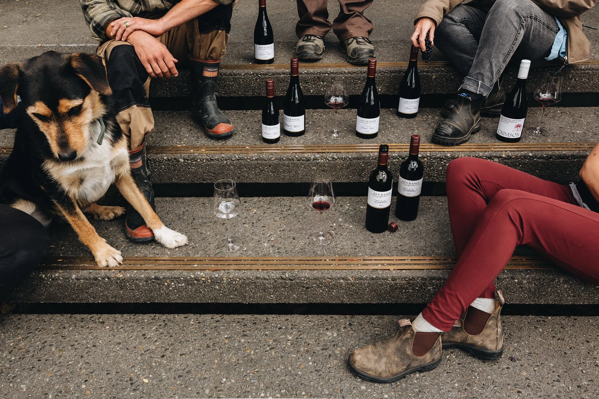 Our Holiday Wine Wish List.