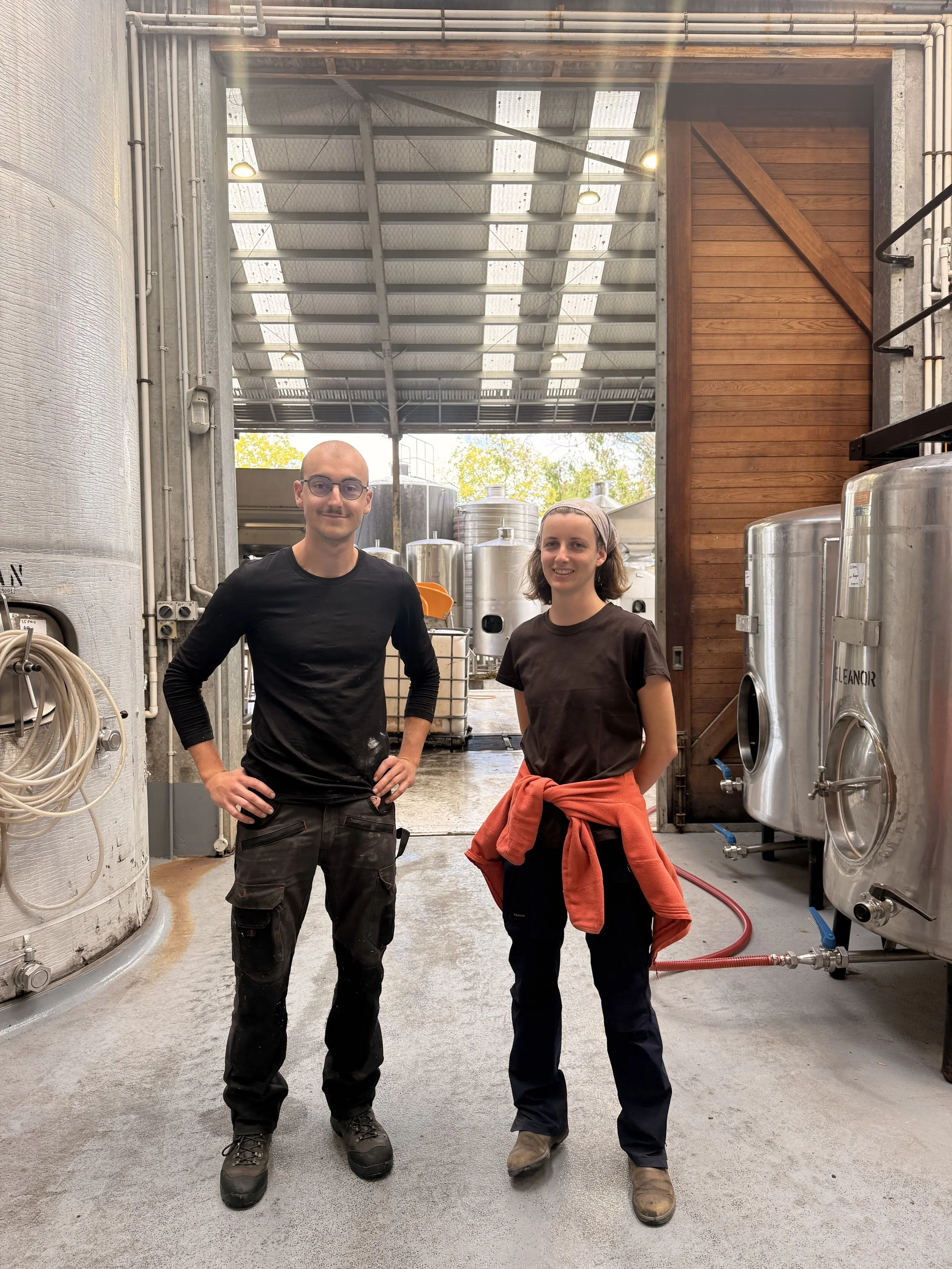 A vintage shared — from Burgundy to Martinborough.