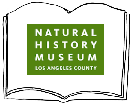 History Museum