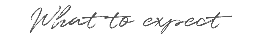 Copy of Graphic Elements (Belladonna) (22).png