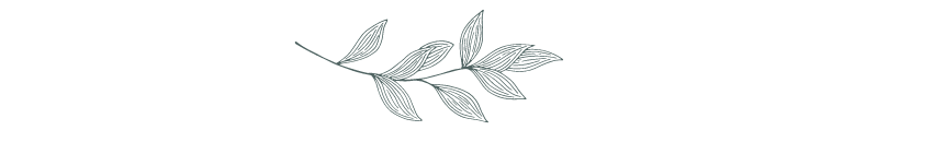 Copy of Graphic Elements (Belladonna) (50).png