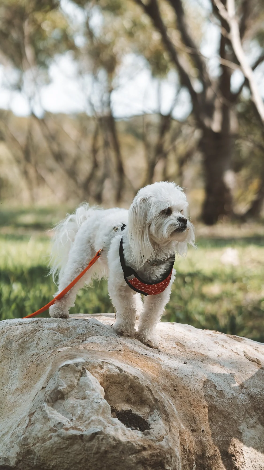 2022 - Jampo - 8.jpg