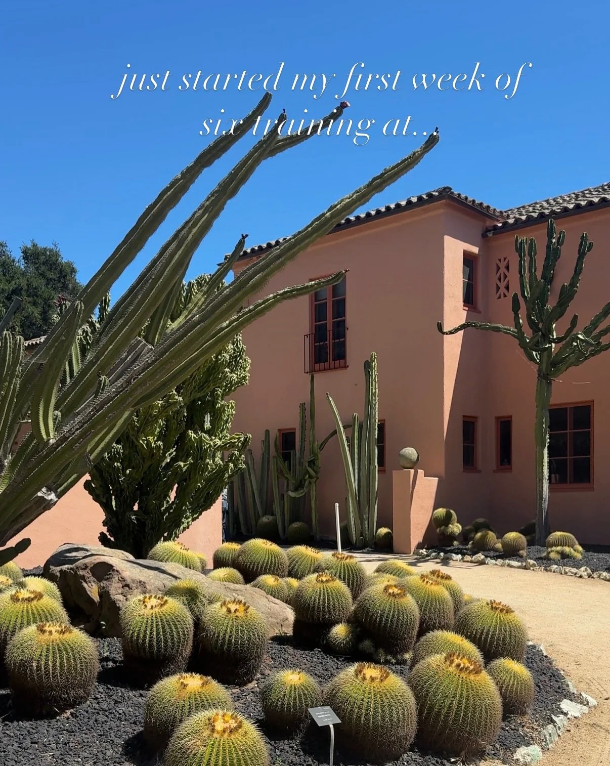 "Enemy of the average" Ganna Walska made Lotusland her masterpiece. It's breathtaking and inspiring and I'm so excited to volunteer here!