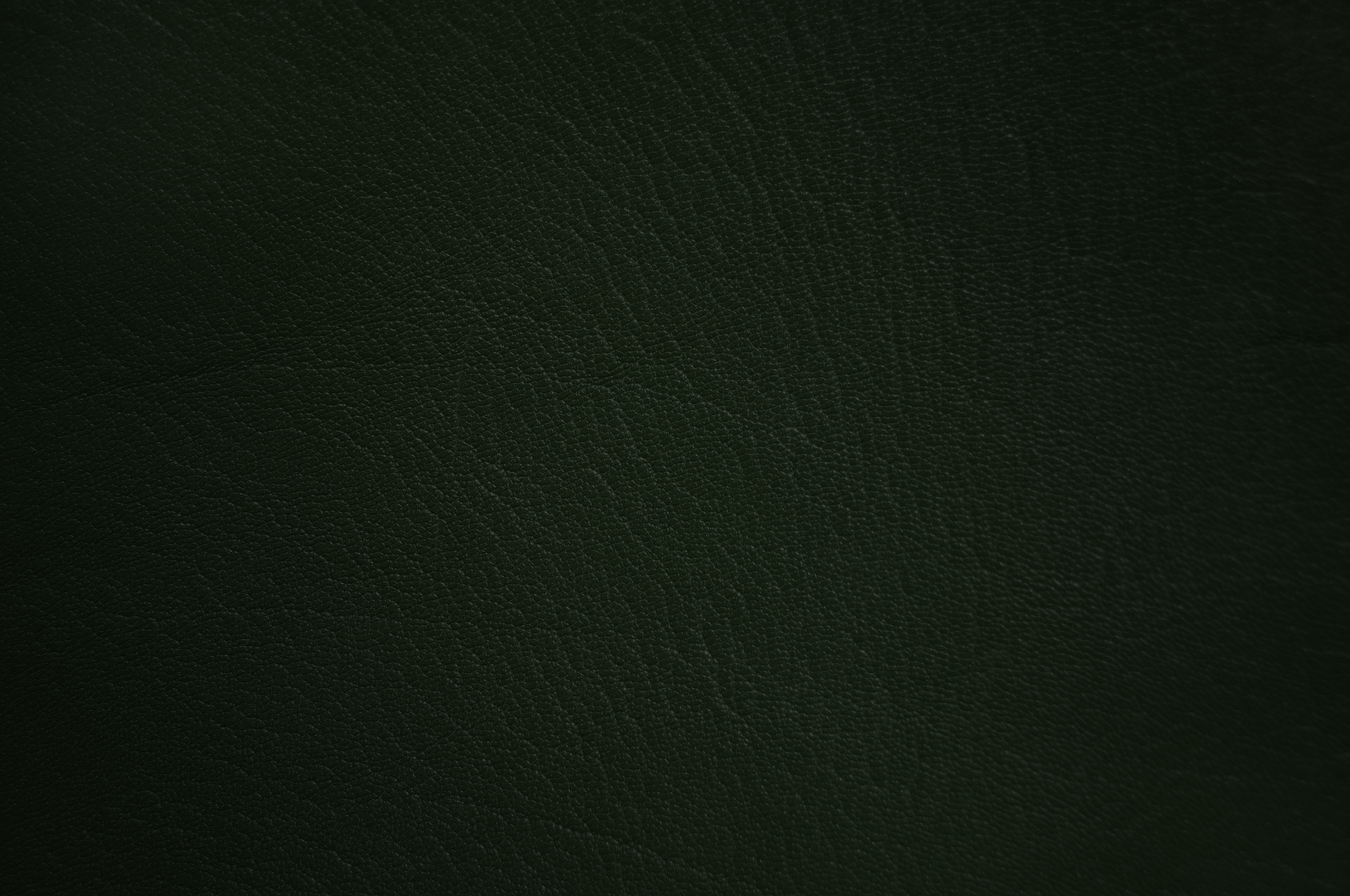 Heinz Healey's
