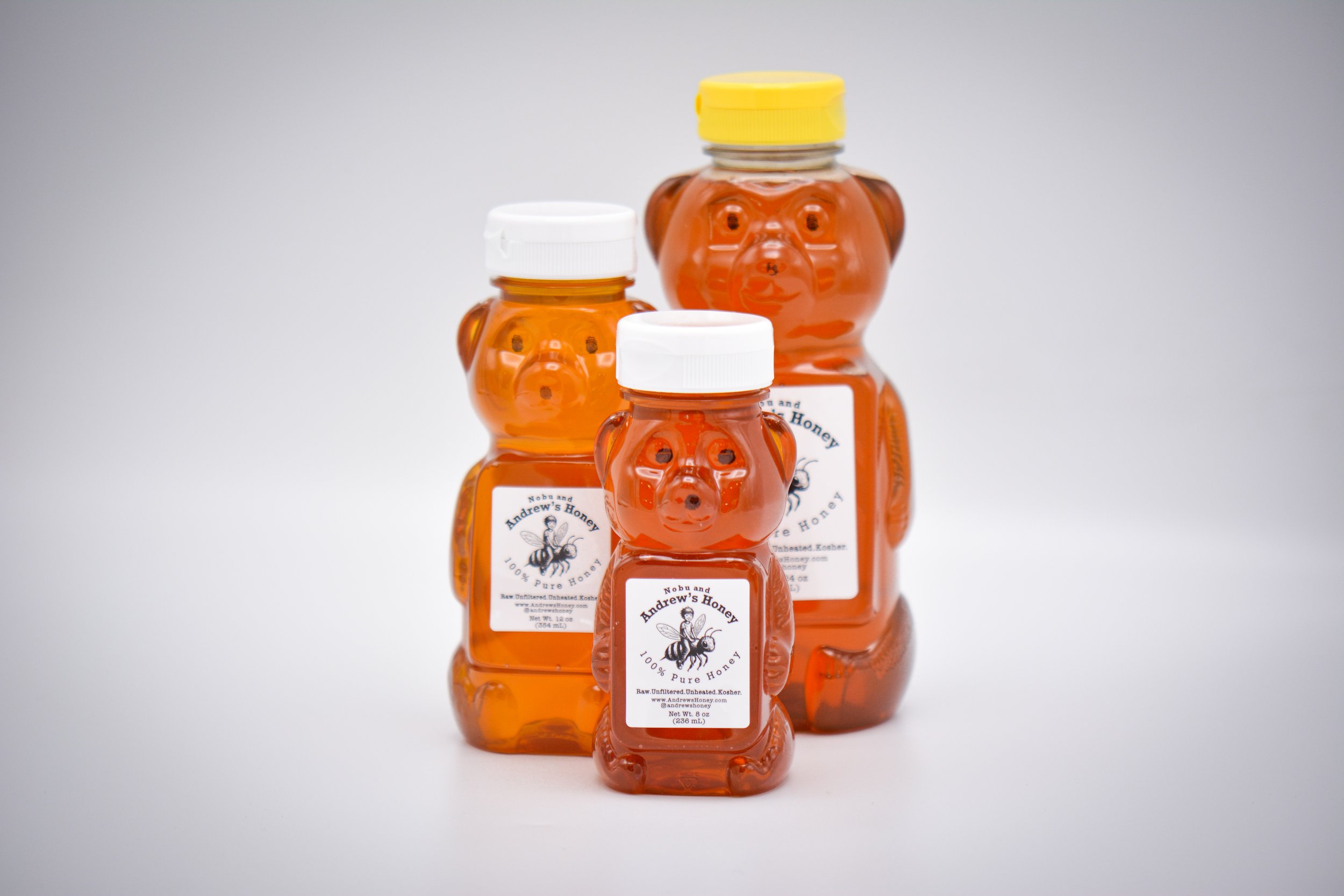 Wildflower Honey (Bear)