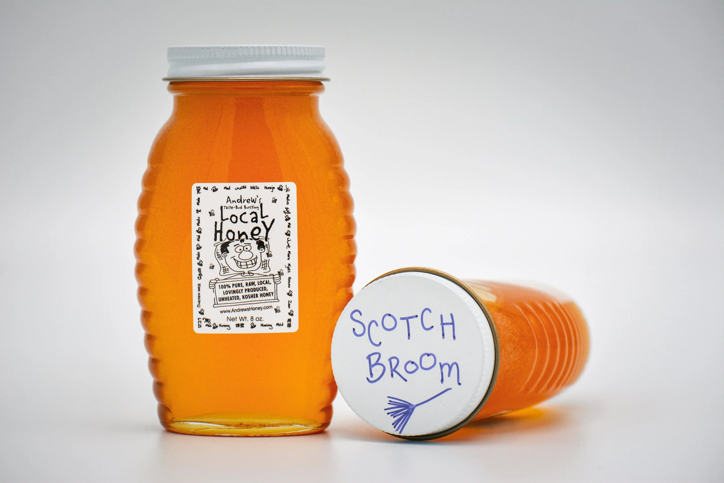 Scotch Broom