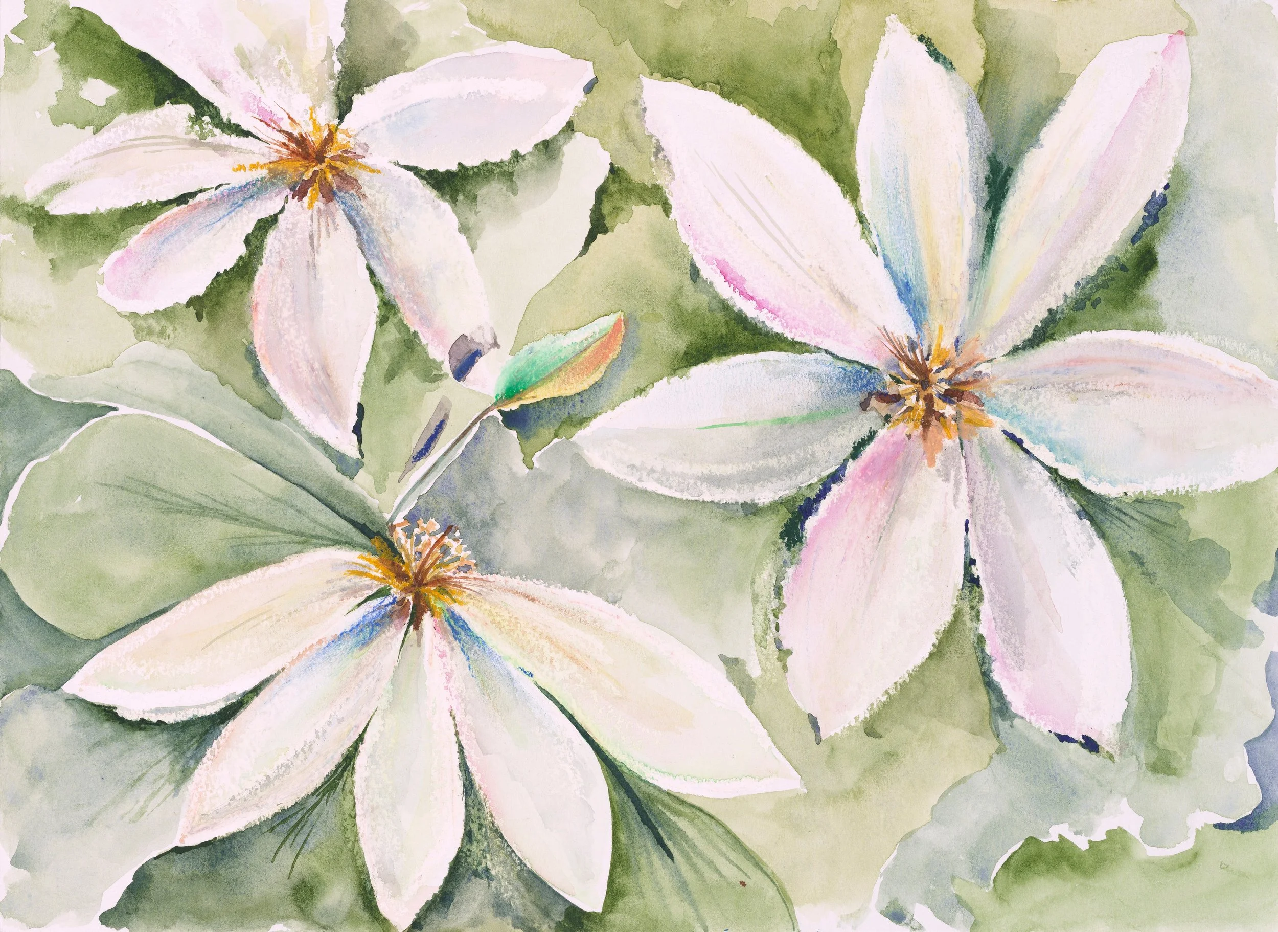 'Flowers Speak for God: "I Love You"'