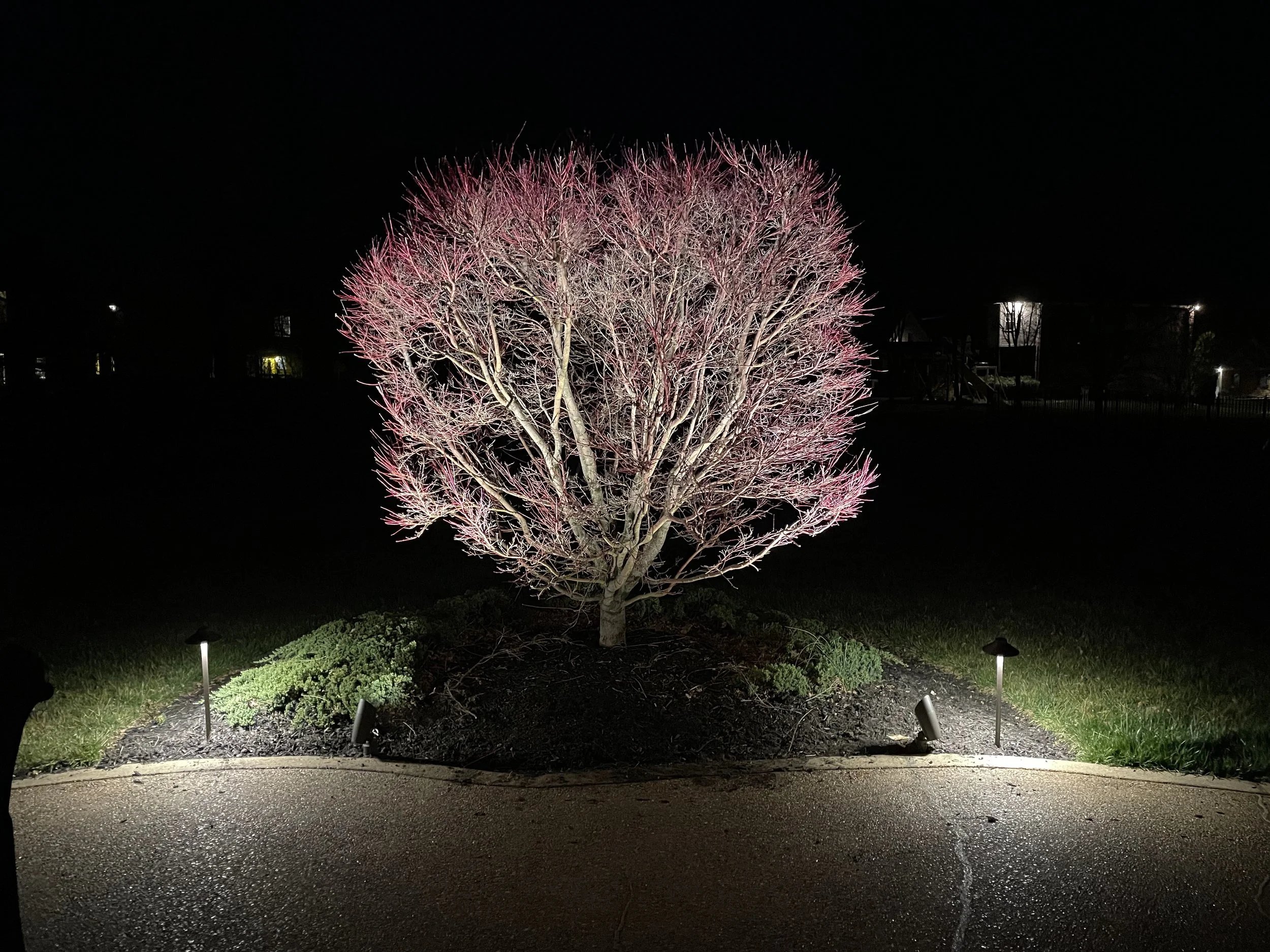 Outdoor Works Lighting 5, Franklin.JPEG