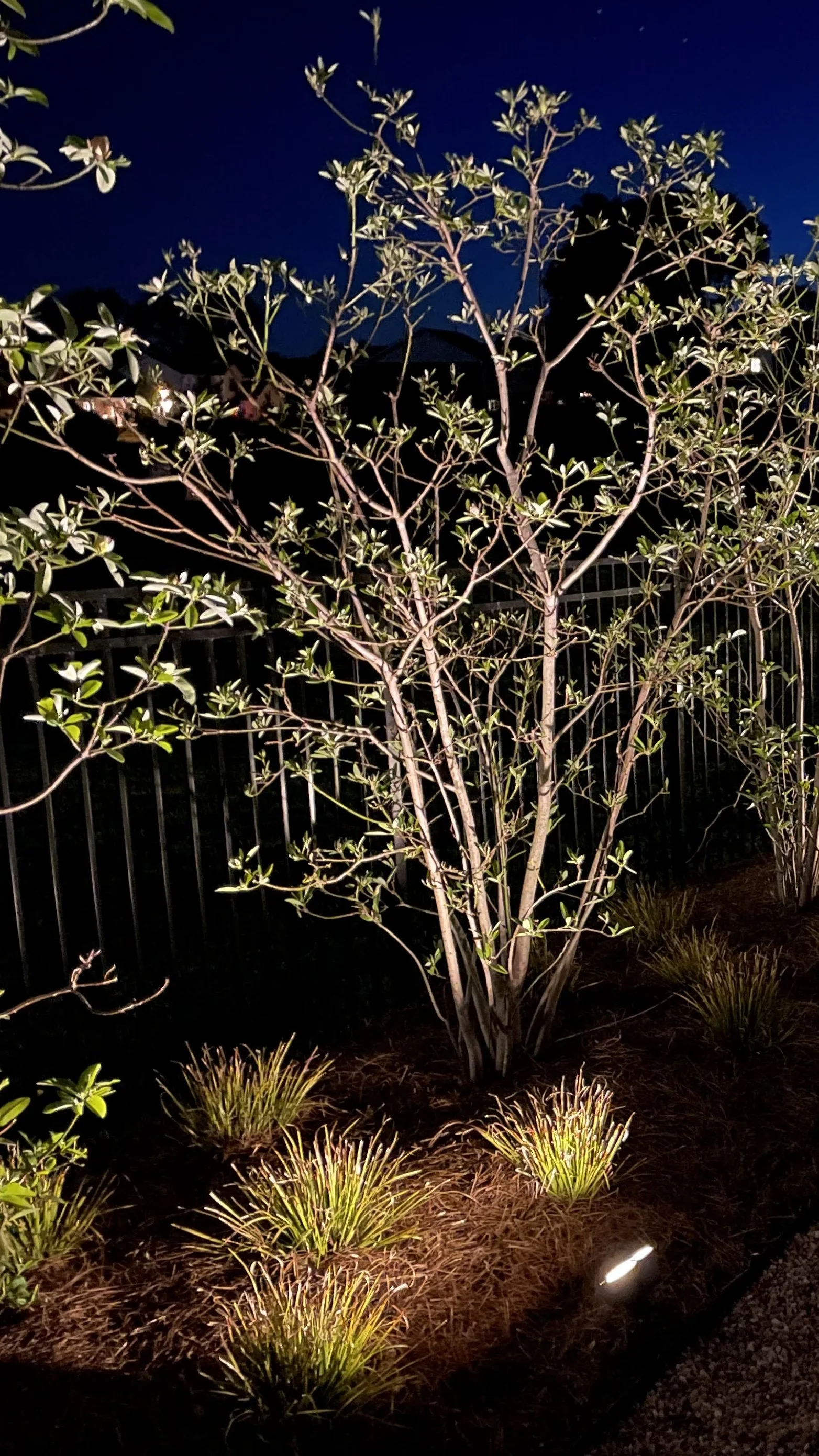 Outdoor Works Lighting 35, Franklin.jpg