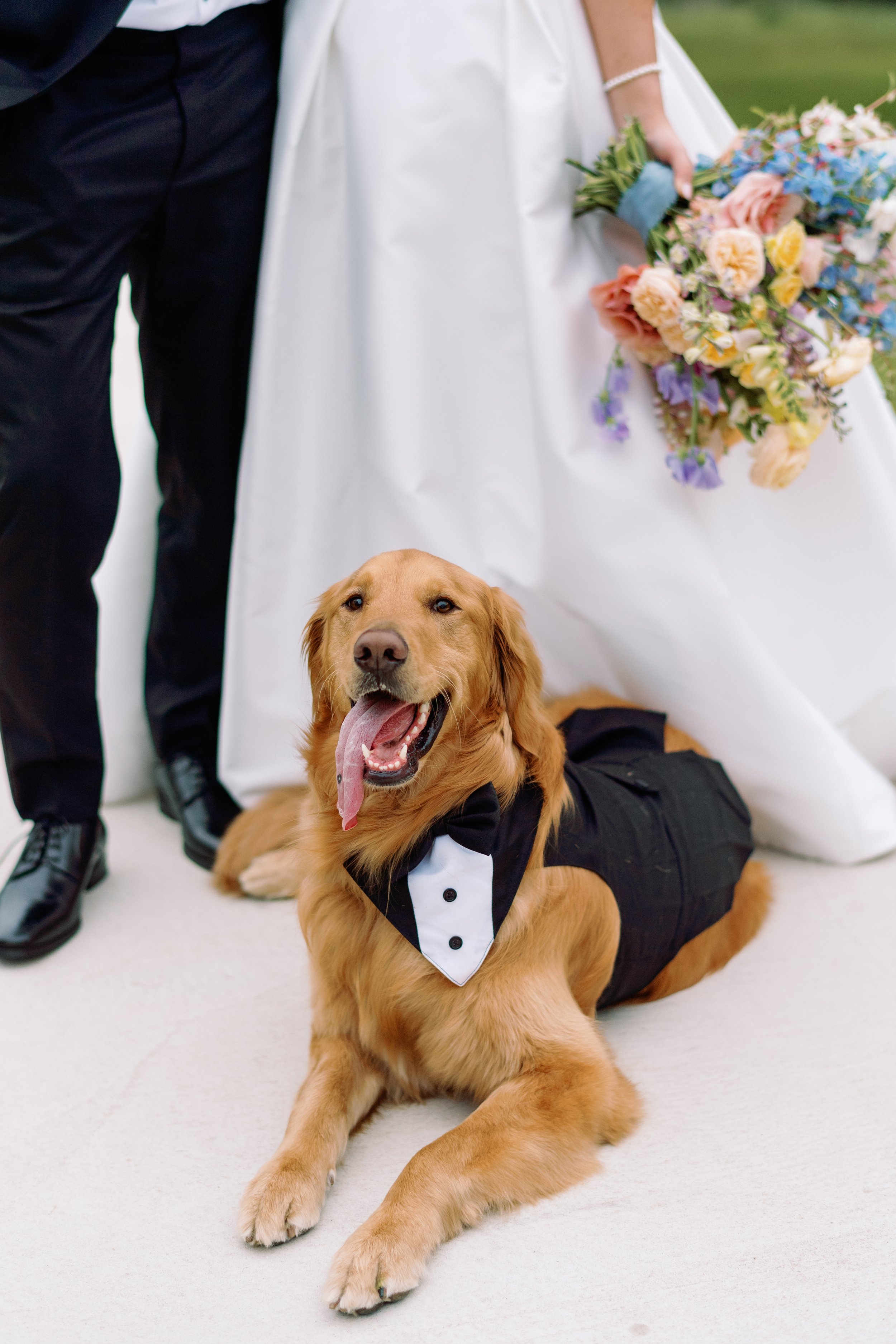Peterson_Wedding_High_Resolution_2024_0682.jpg