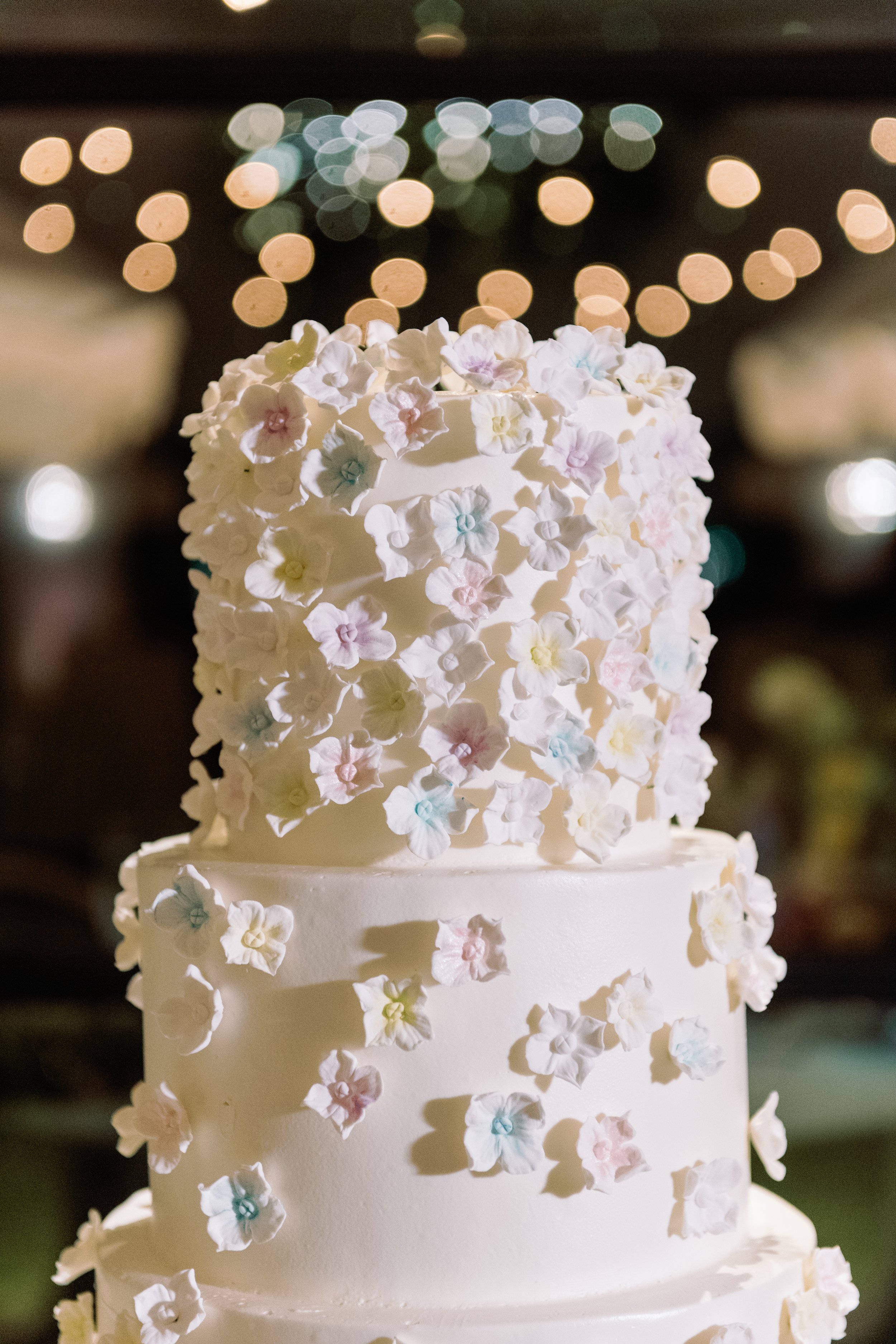 Peterson_Wedding_High_Resolution_2024_0889.jpg