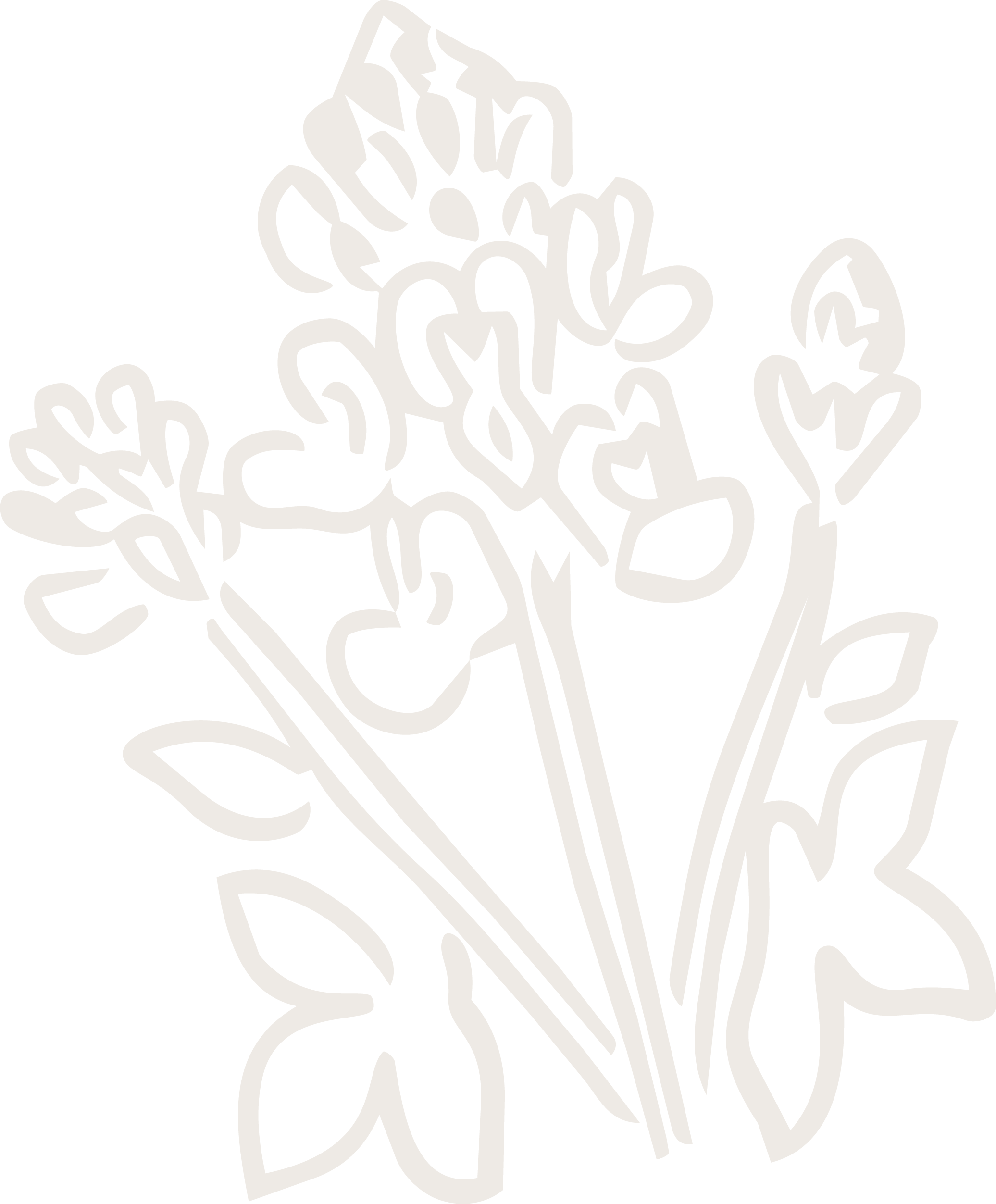 White line drawing of a bunch of bluebonnets, with a bow at the bottom
