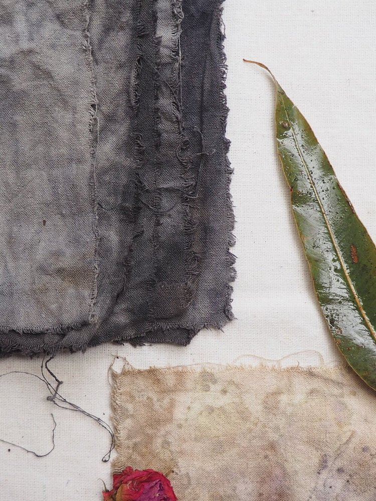 PLANT DYE MODIFIERS: PAINT PATTERNS WITH IRON WATER AND VINEGAR