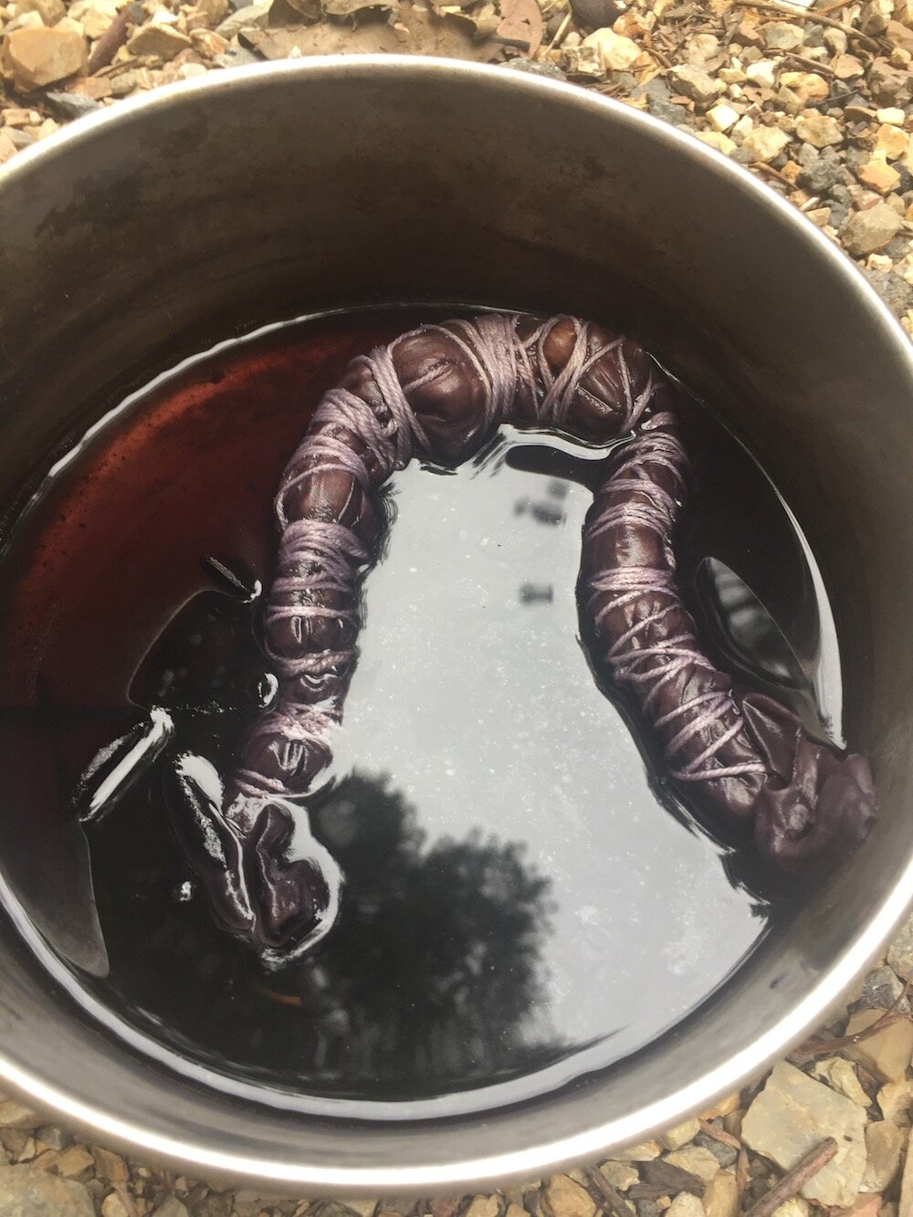 Ellie Beck_Natural Dye with Eucalyptus leaves How to DyeIMG_0917.JPG