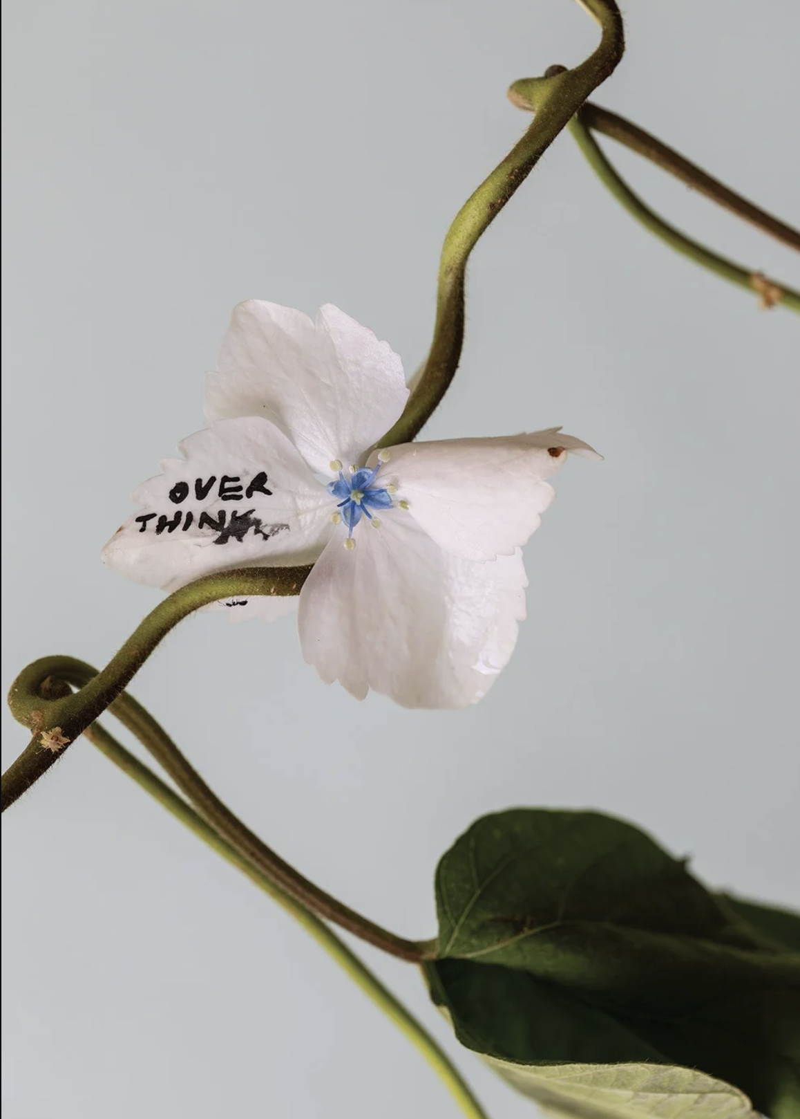 over think text is written with black pen on a white flower with vine leaves. it is on a blue paper background