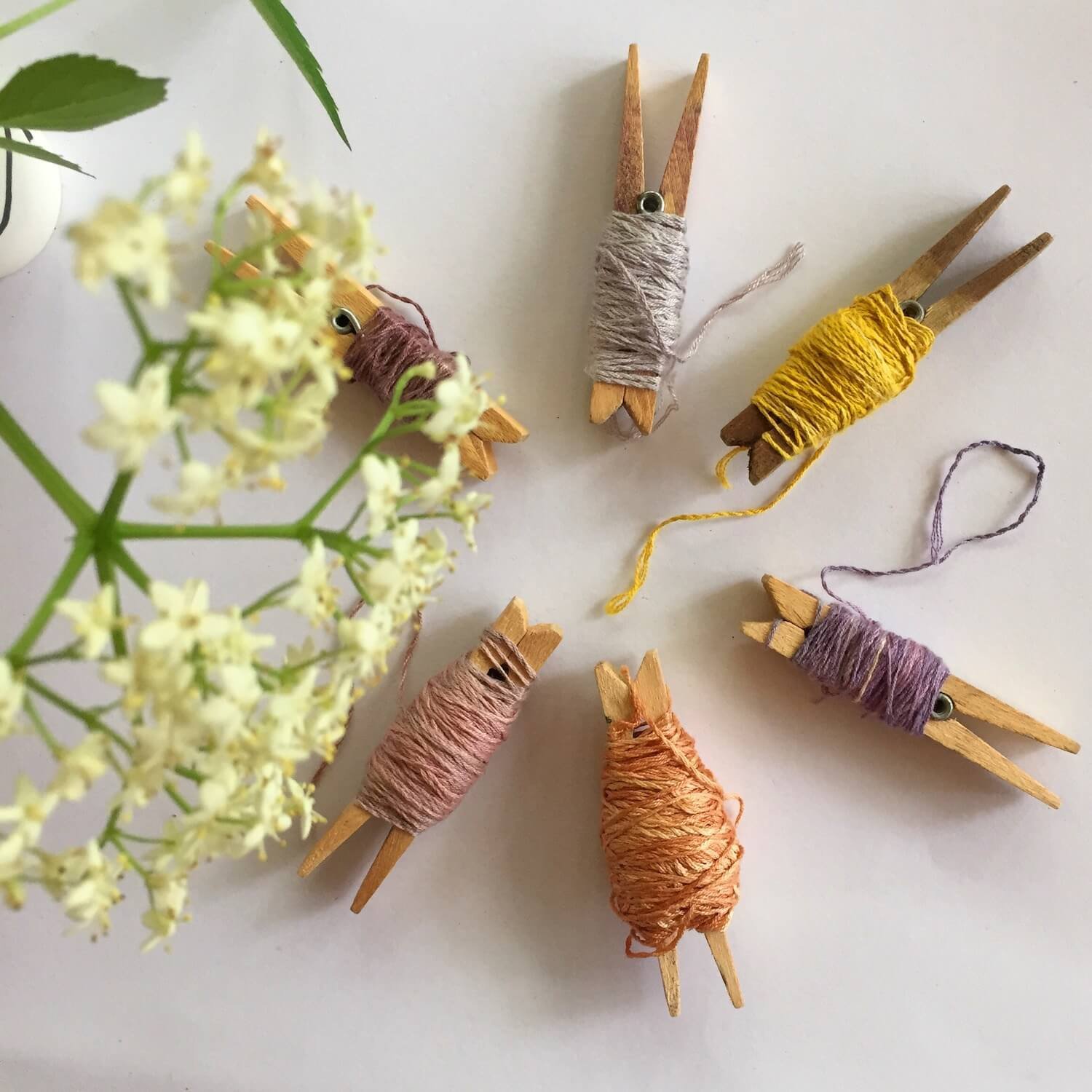 DIY Dried-Flower Crafts