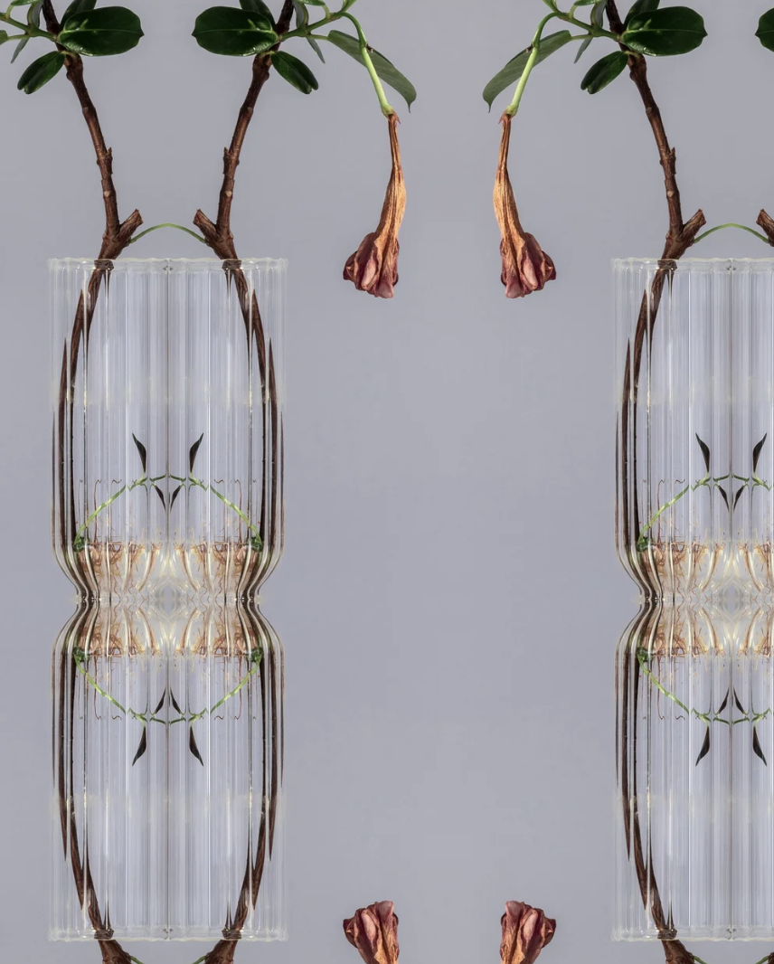 Karina Sharpe - art for the lofty heart