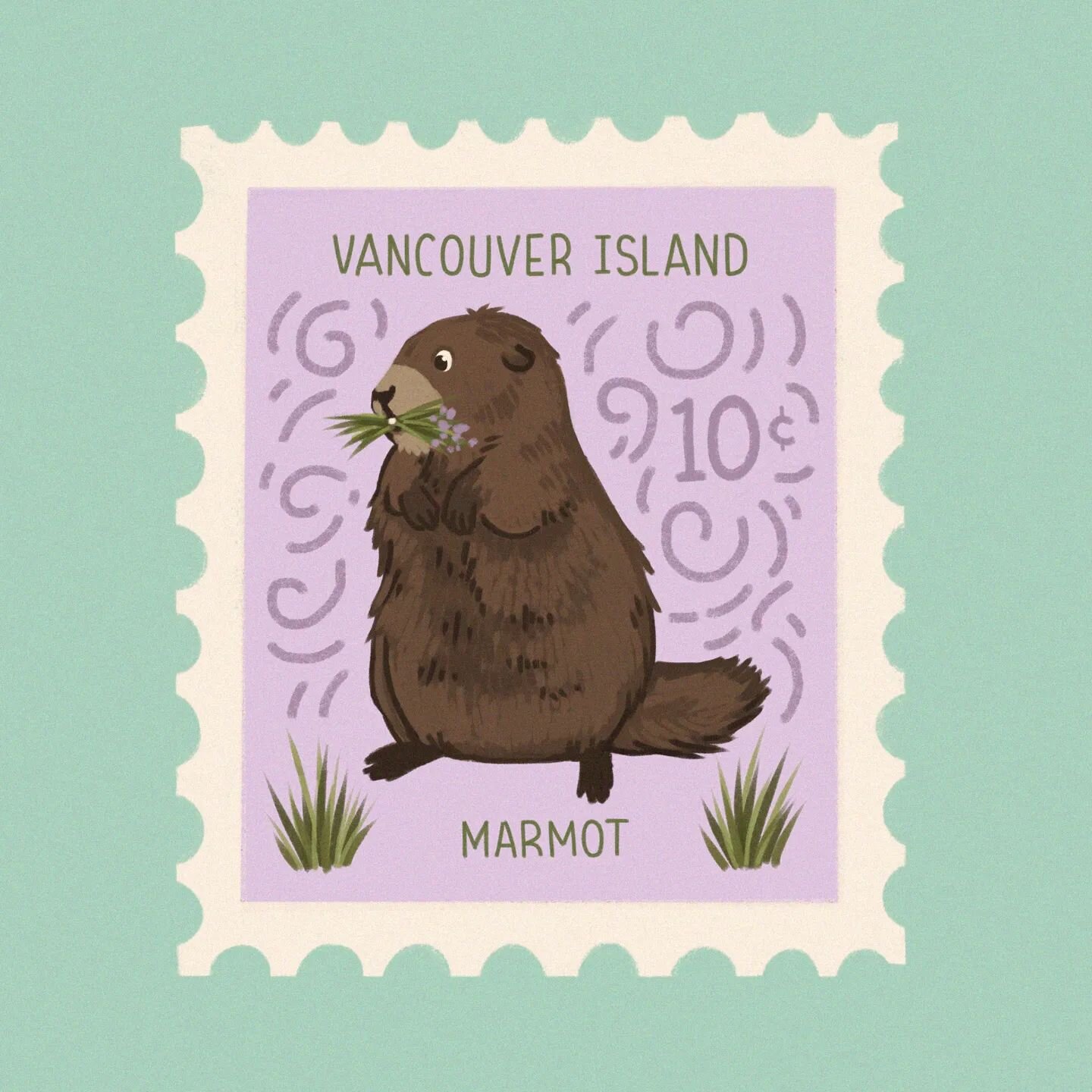 Violette the marmot may have predicted six more weeks of winter on Vancouver Island, but I'm hopeful Spring is on its way. Can we call the monsoon outside April showers? 😅💗🌿
.
.
.
@marmotrecovery #illustration #animalillustration #vancouverislandm