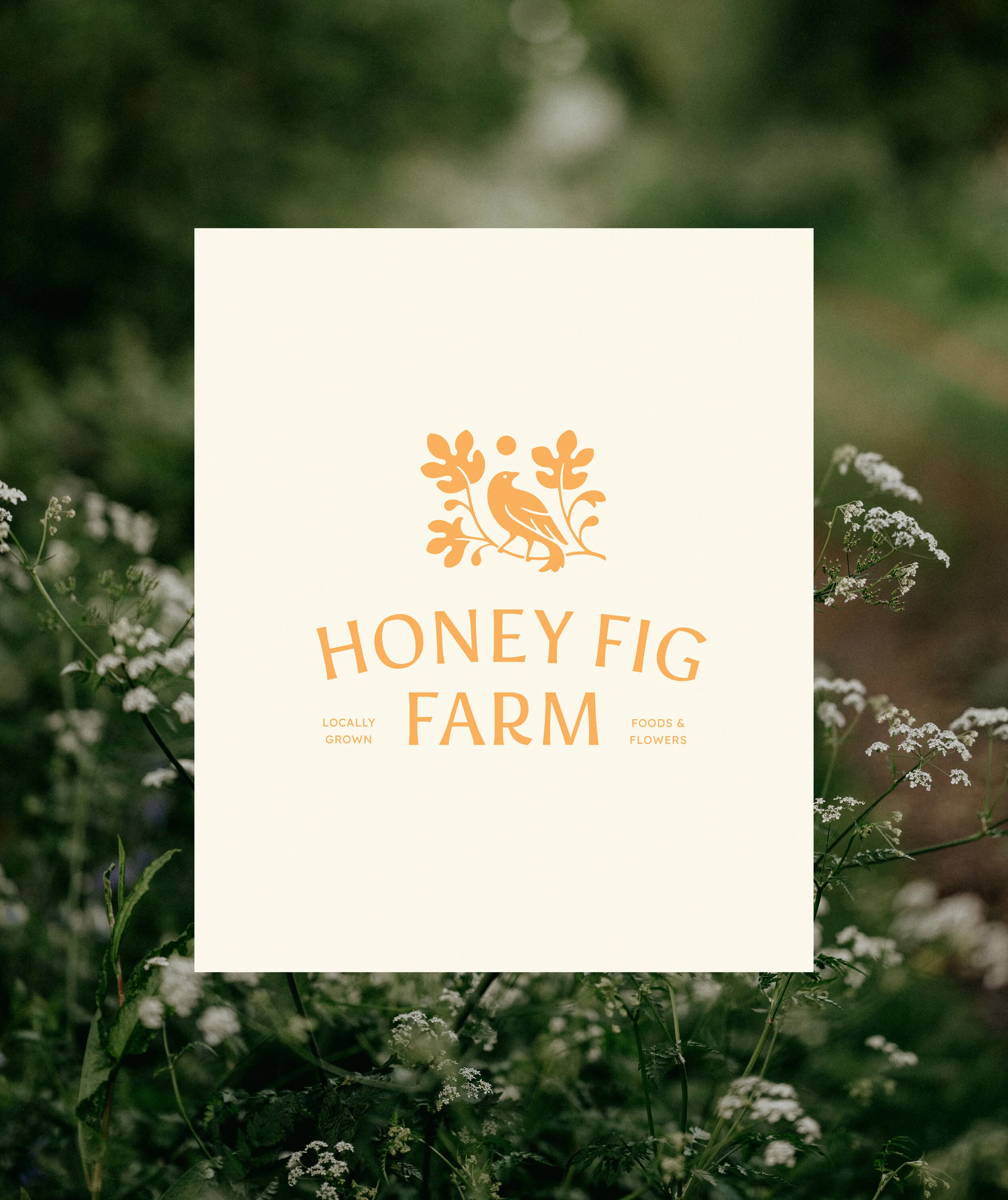 Honey Fig Farm — Artio Design Co | Brand & Web Design Studio