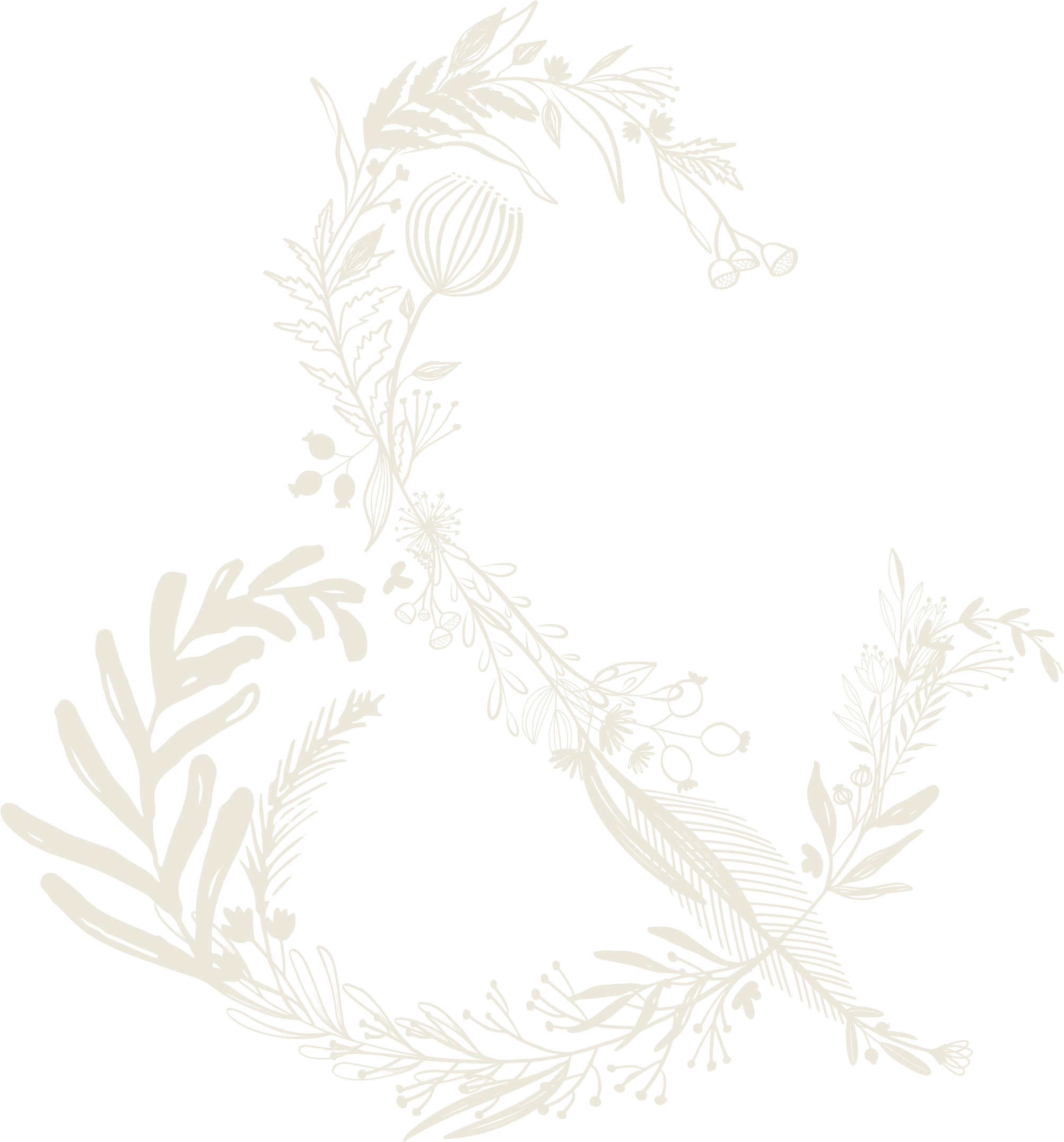plume%26furrow-ampersand-cream.png?format=2500w