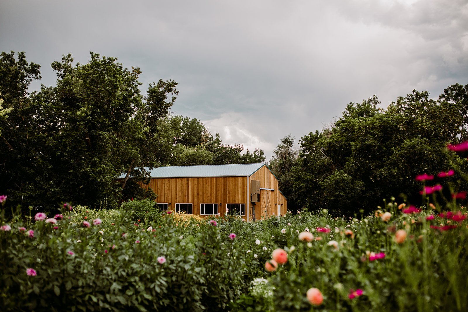 Plume&Furrow-WeddingFlorist-Emily&Eva-TaylerCarlisle-LyonsFarmette-September-Colorado-Farmette-Flower-Field.jpg