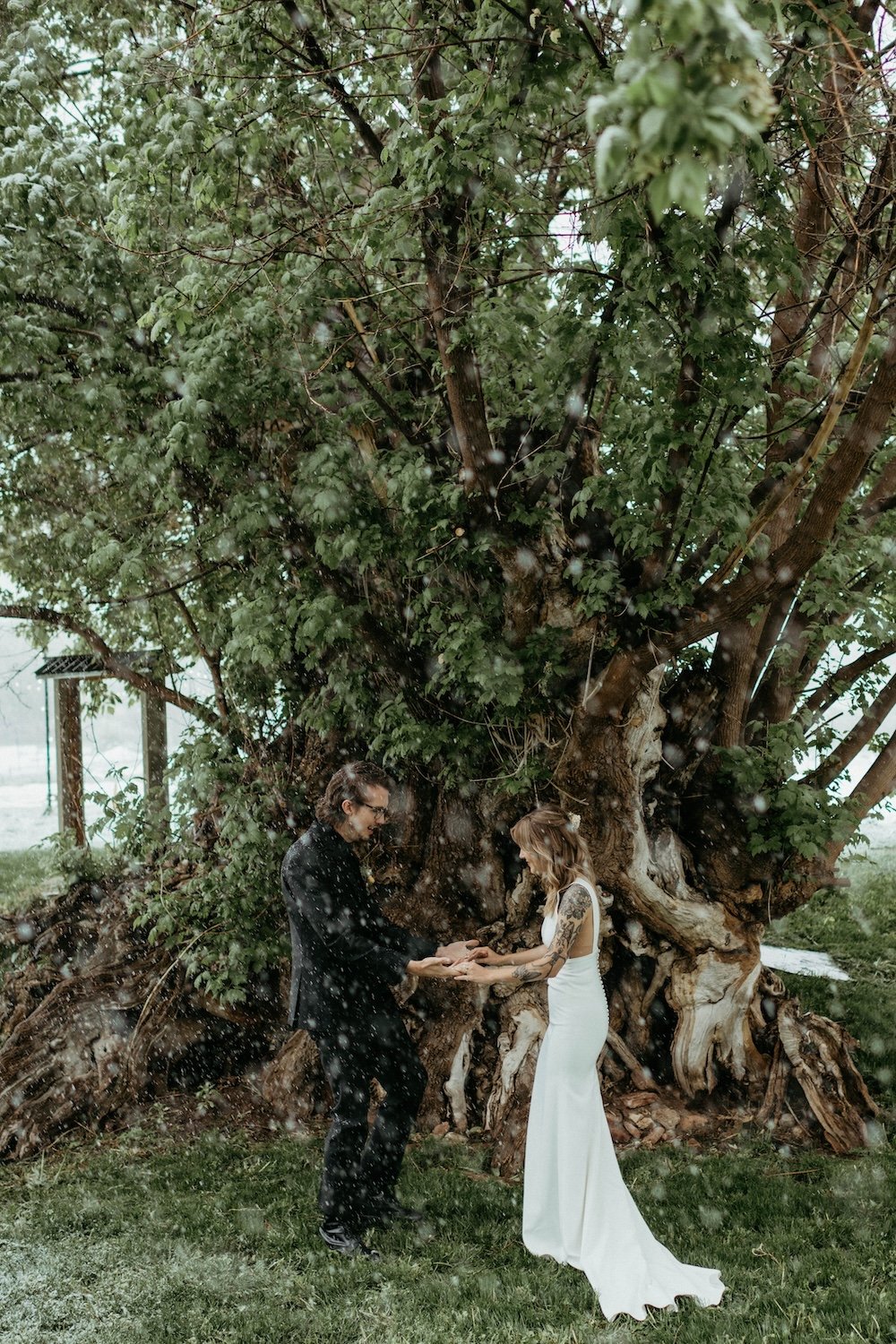 Plume&Furrow-Wedding-Florist-Alex&Corey-Lyons-Farmette-Colorado-Kenz+Nick-bride-groom-tree.jpg