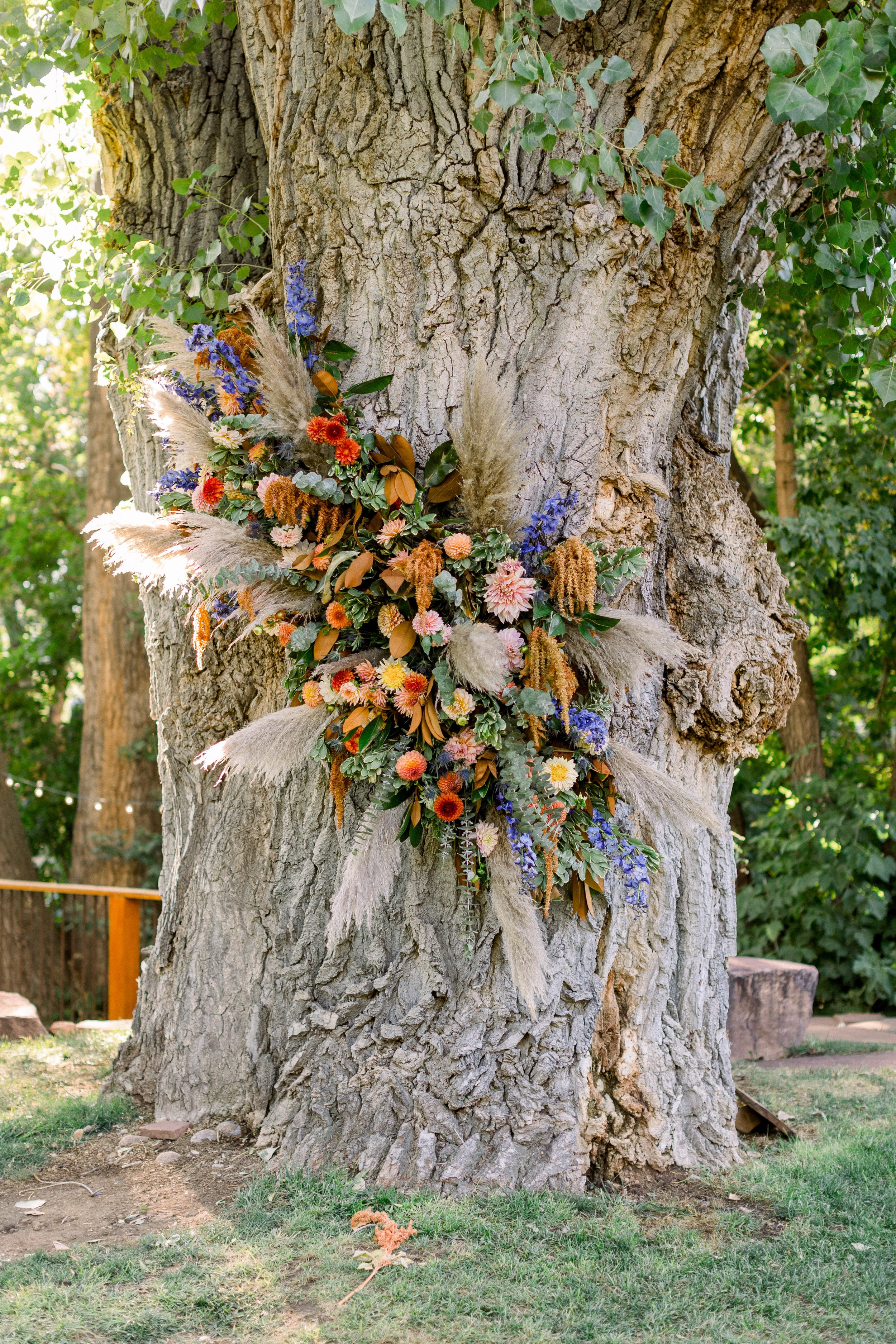 Plume&Furrow-Weddinf-Florist-Taylor&Ryan-ChelseaSliwaPhotography-Lyons-Farmette-September-Colorado-FLoral-Tree-Wrap-Ceremony-Decor.jpg