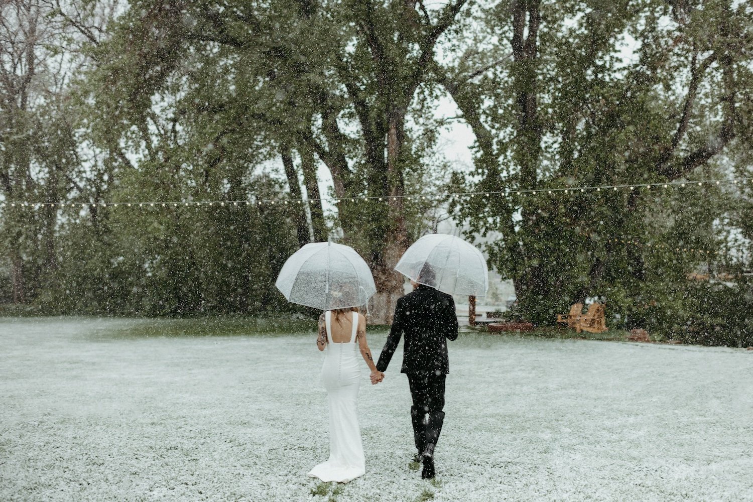 Plume&Furrow-Wedding-Florist-Alex&Corey-Lyons-Farmette-Colorado-Kenz+Nick-bride-groom-umbrellas.jpg