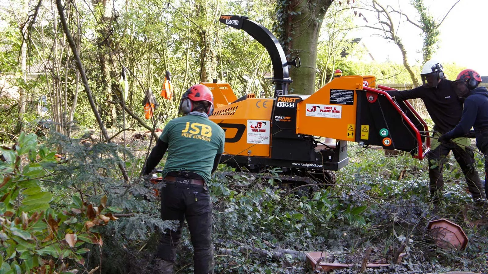 trees-team-at-work-1.jpg