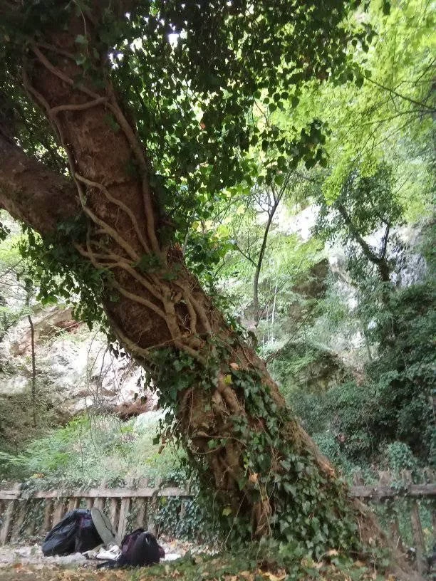 Yoga spot