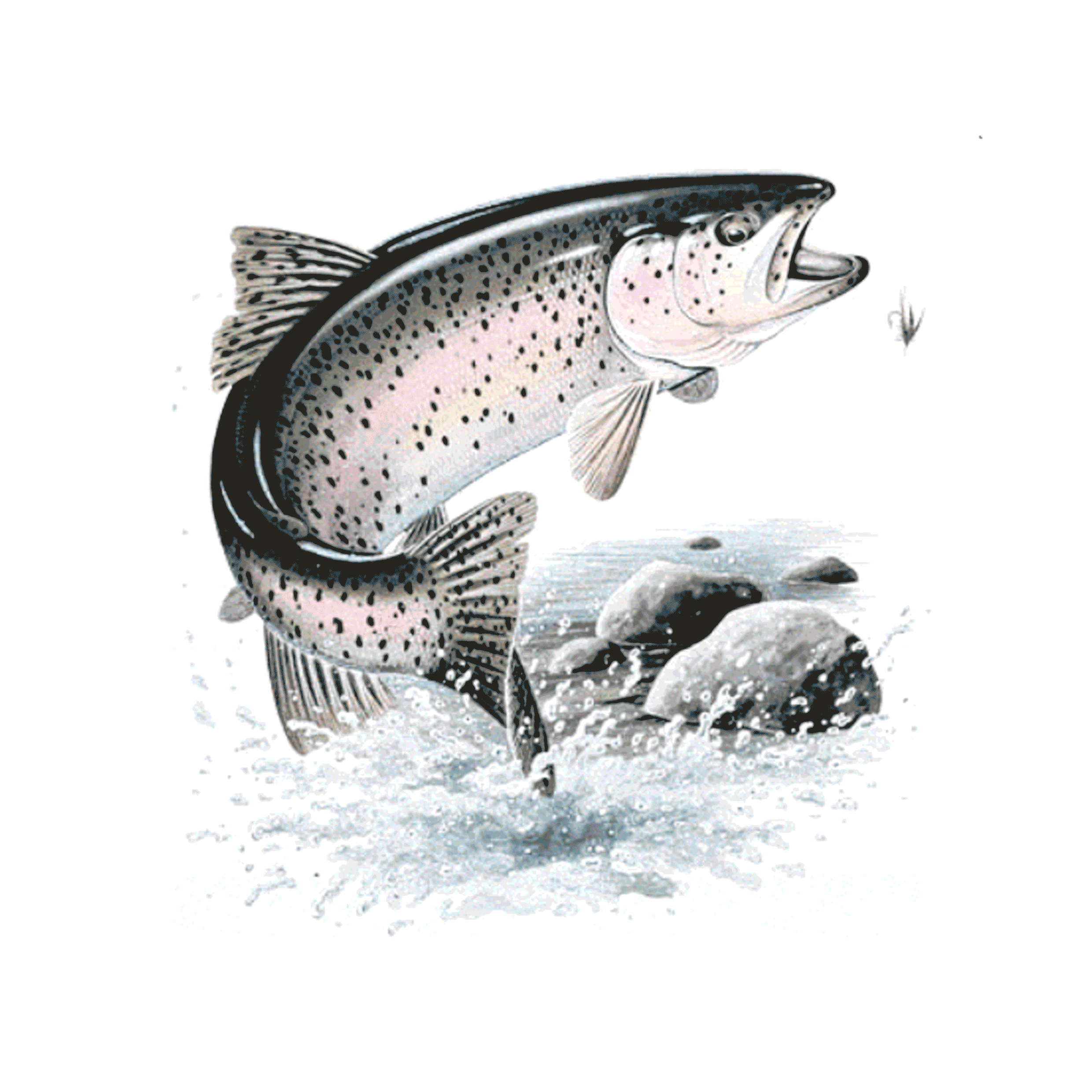 Rainbow Trout Fish Tee