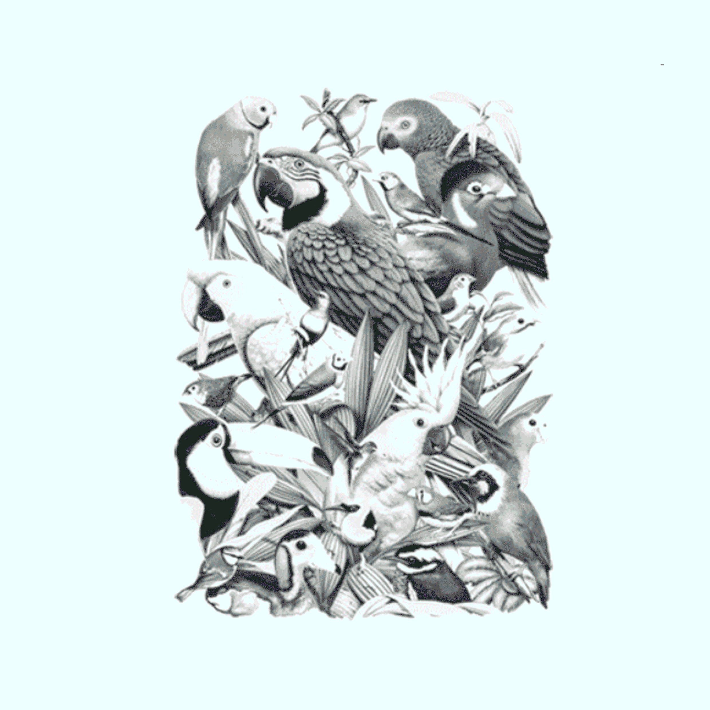 avian-WORLD-BETTER-GIF.gif