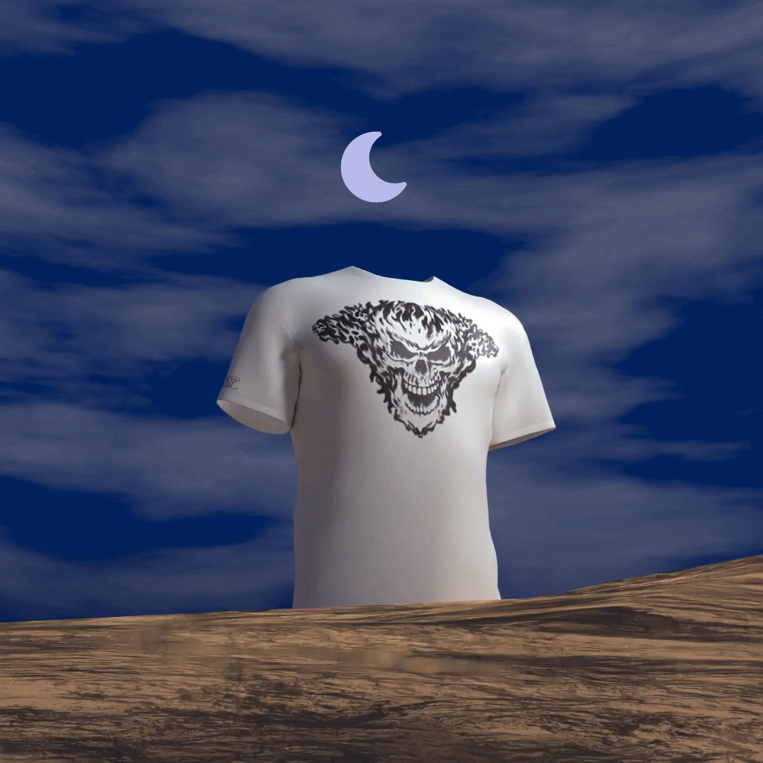21 Skull in Flames Indoor Outdoor Gif 2024.gif