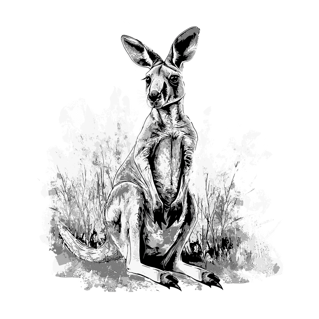 19 Kangaroo.gif