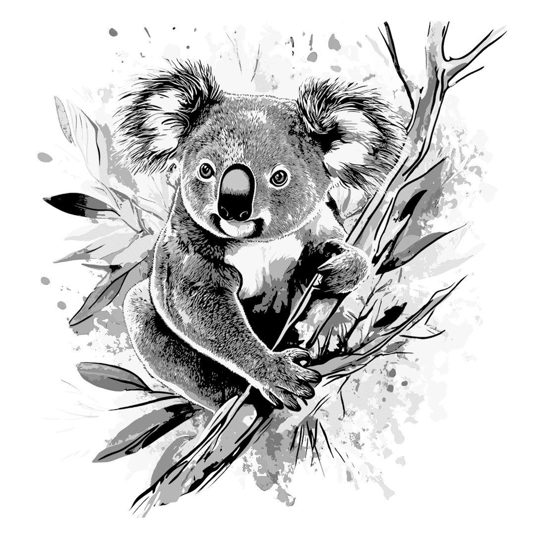 24 Koala.gif