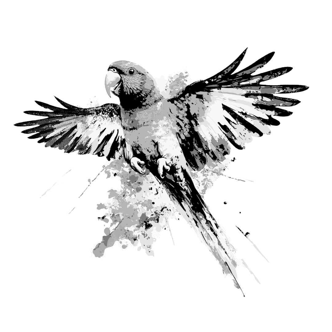 44 Rainbow Lorikeet.gif