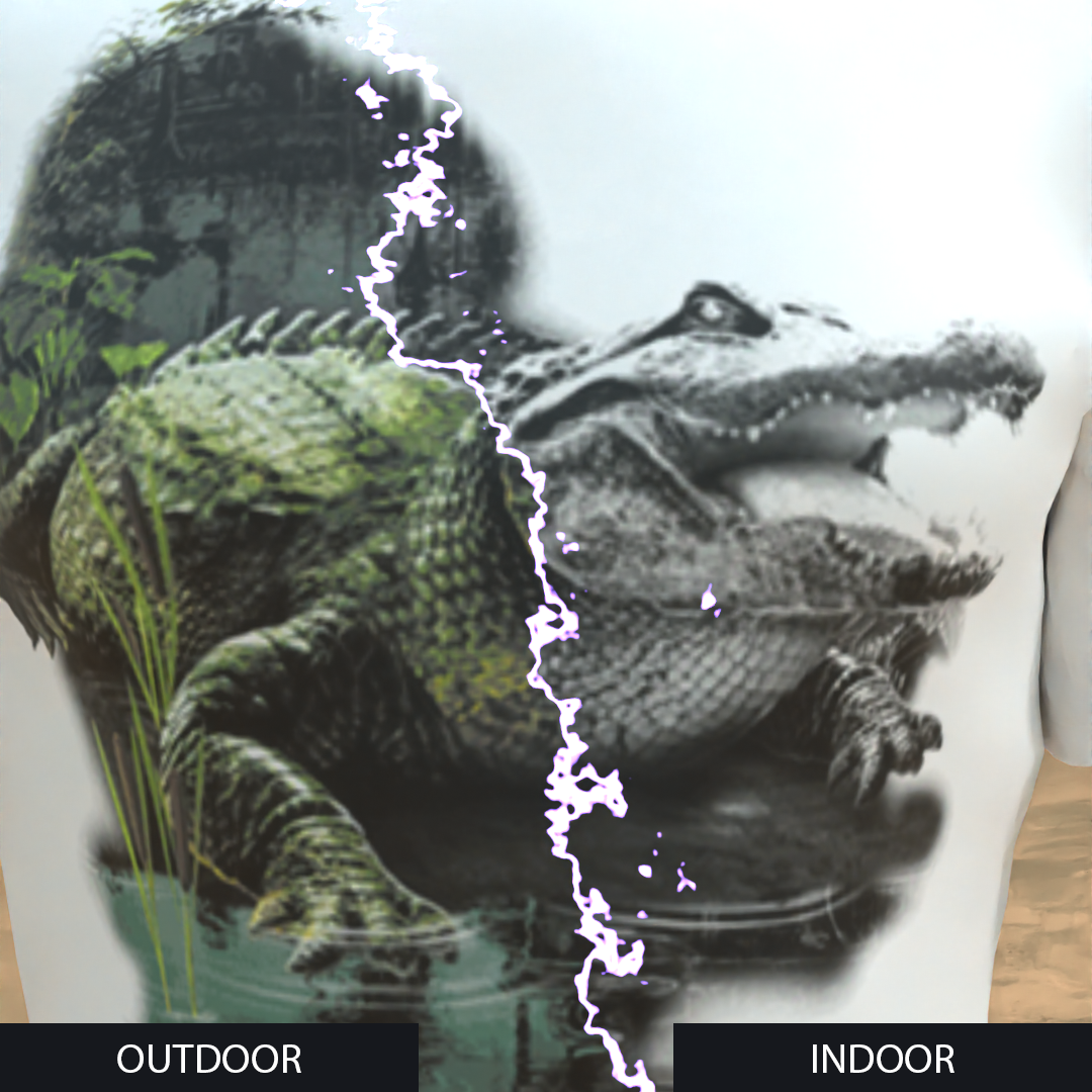 12.png