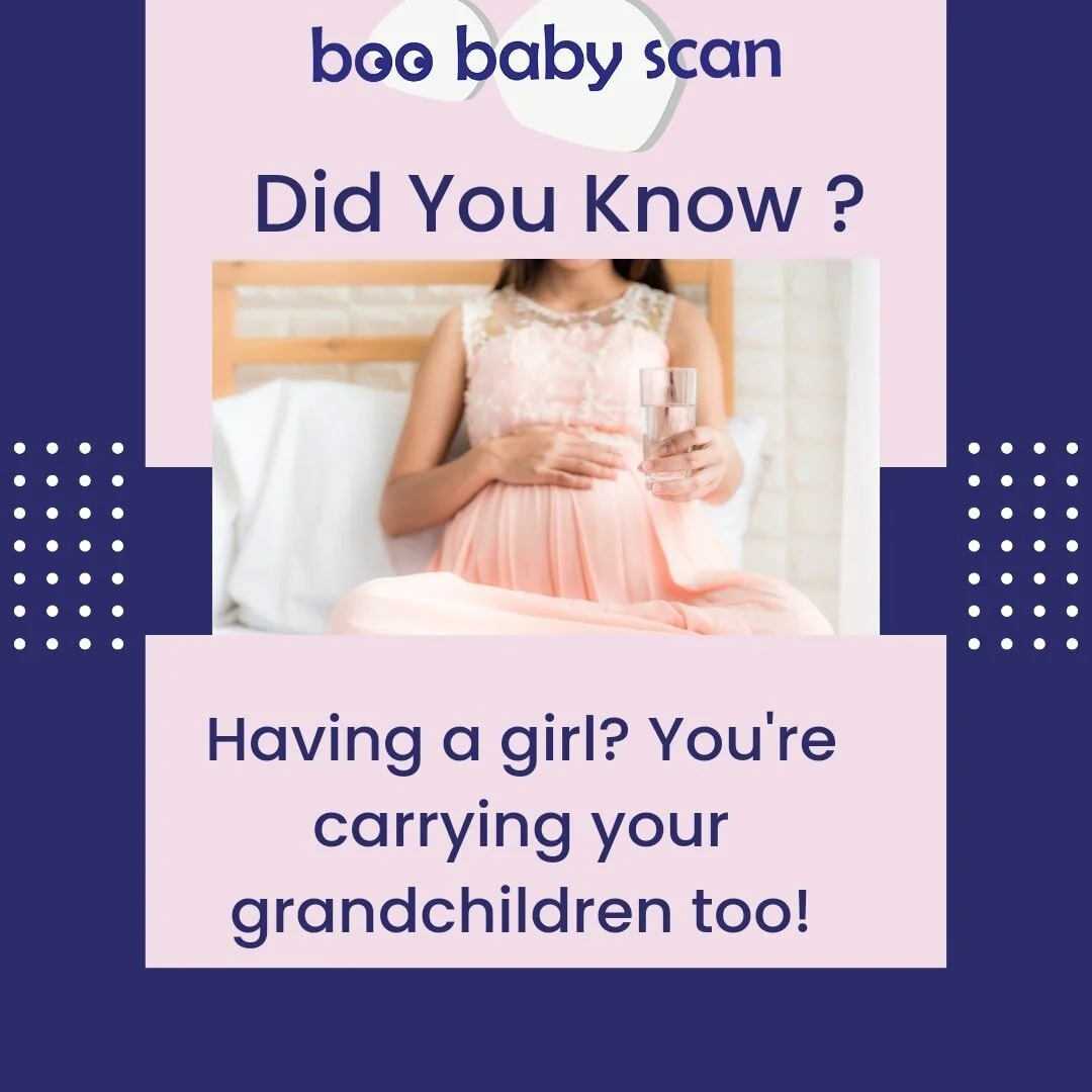 Females develop all the eggs they will ever produce while still in the womb. That’s a lot of responsibilty. Boys don’t develop sperm until they reach puberty. 👶💜
 #hertfordshirebusiness #babybonding #pregnancyultrasound #bishopsstortfo