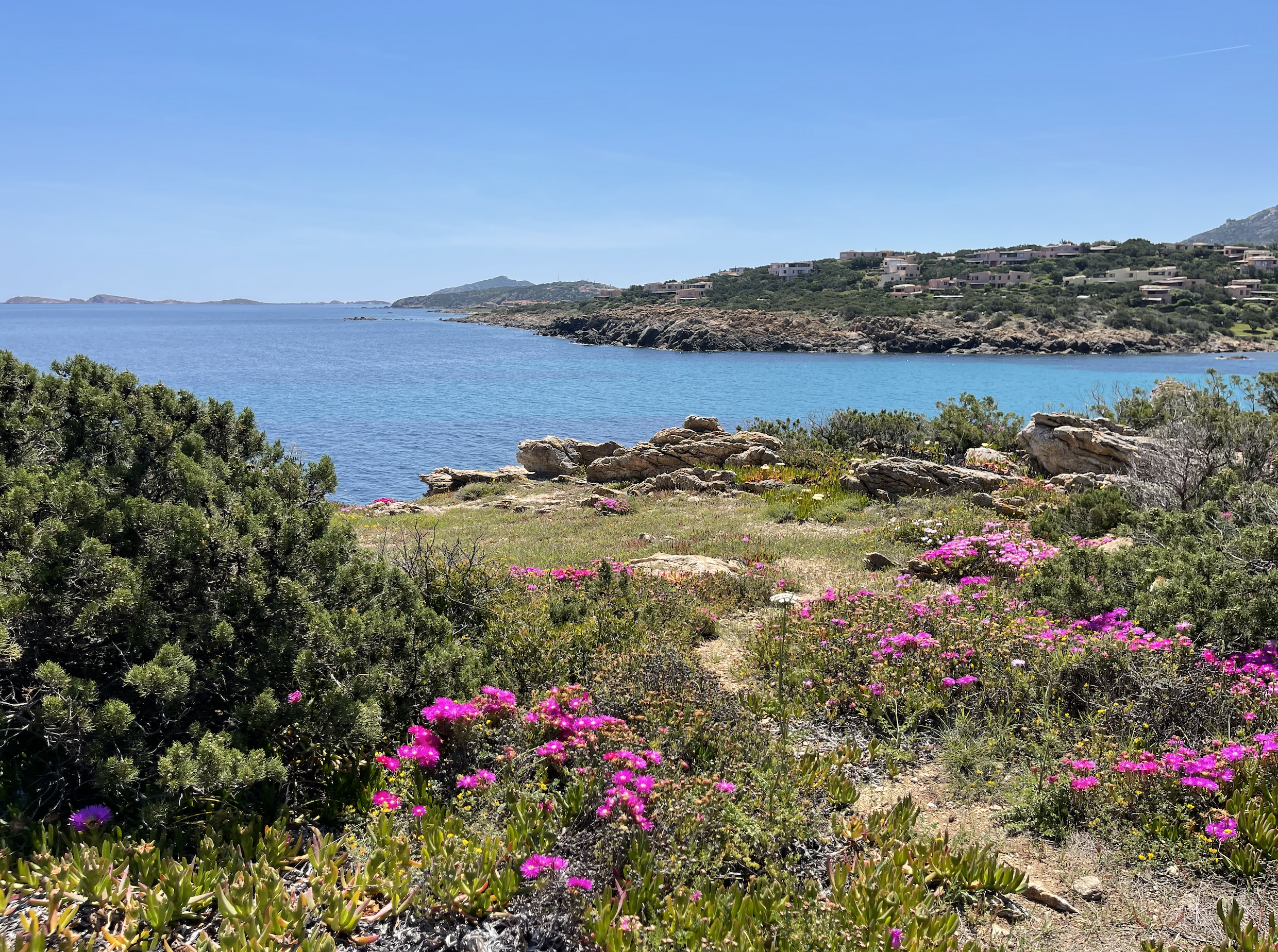 Schermata 2023-01-25 alle 12.58.54.png