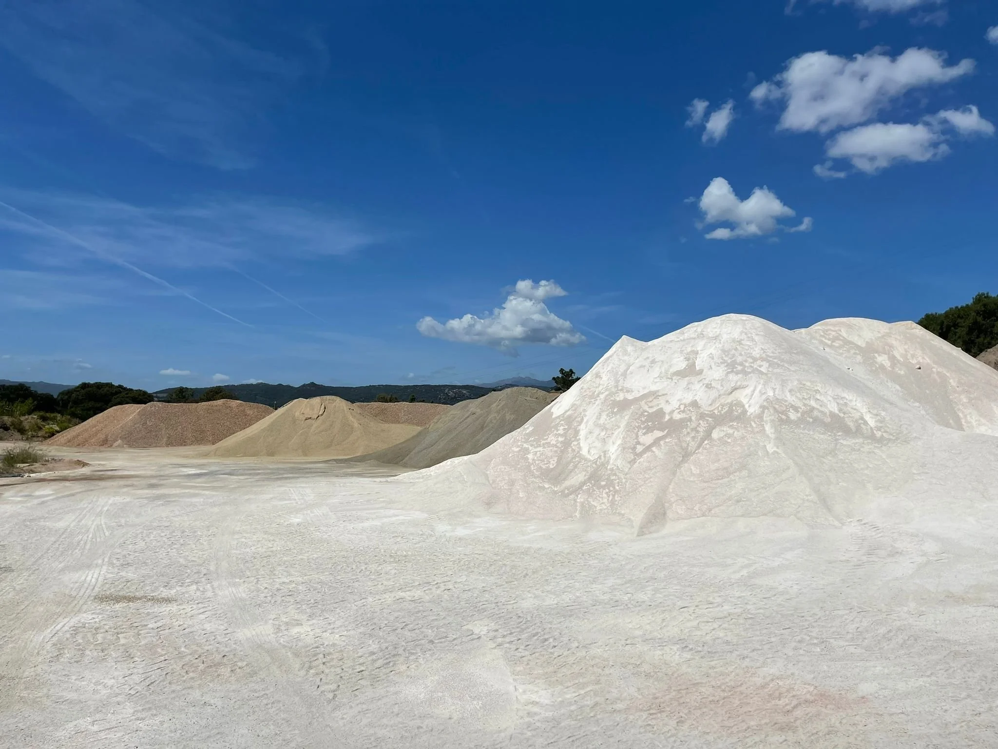 WhatsApp Image 2021-05-20 at 13.37.12.jpeg