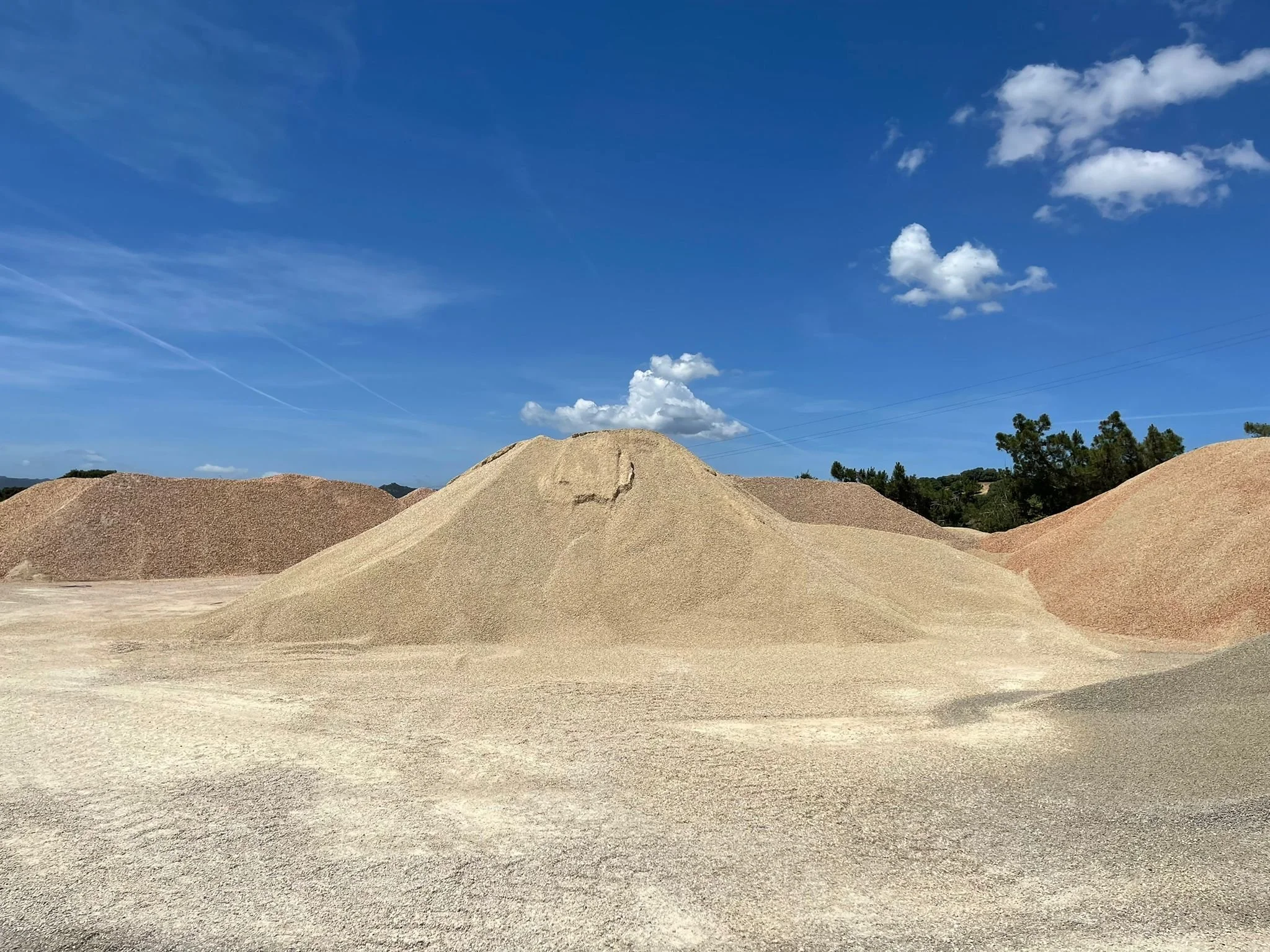 WhatsApp Image 2021-05-20 at 13.37.15.jpeg